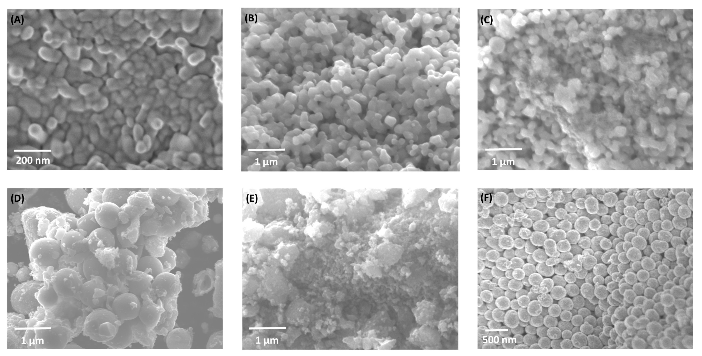 Molecules 30 04309 g002 Molecules 30 04309 g002