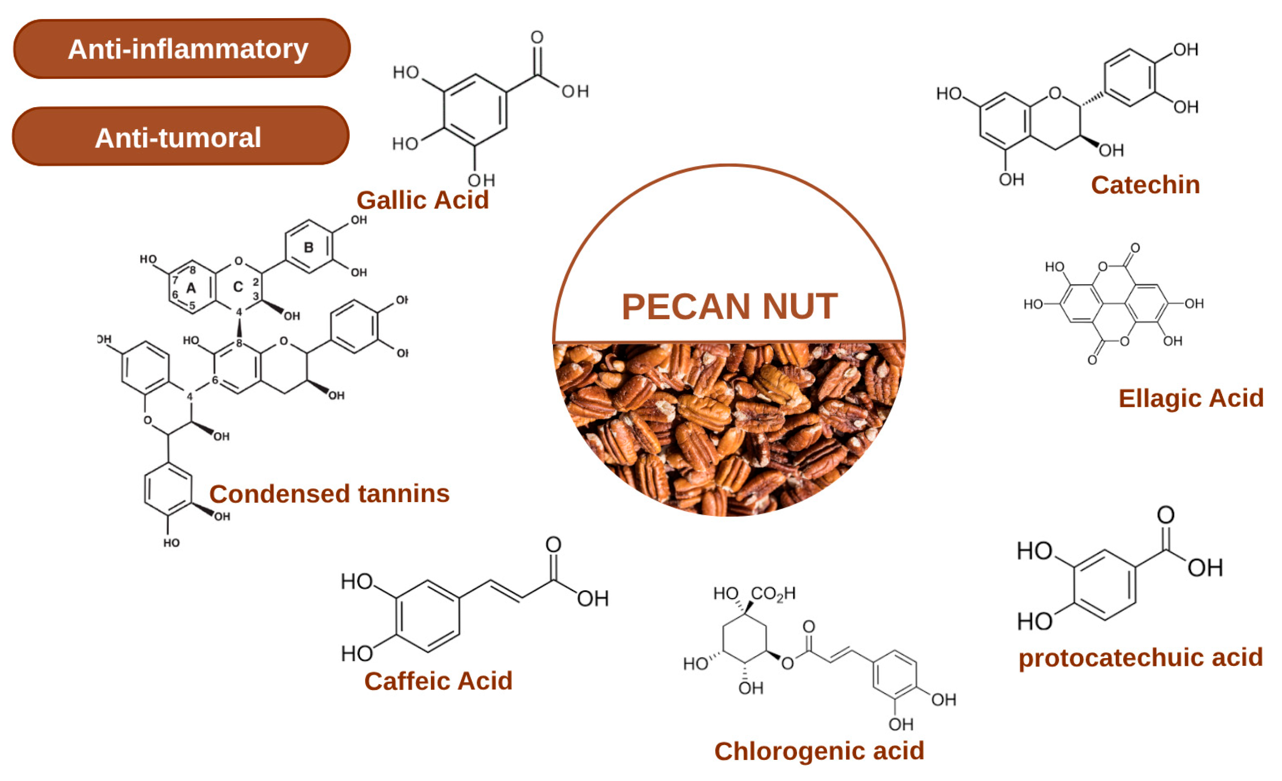 Molecules 30 04310 g001 Molecules 30 04310 g001