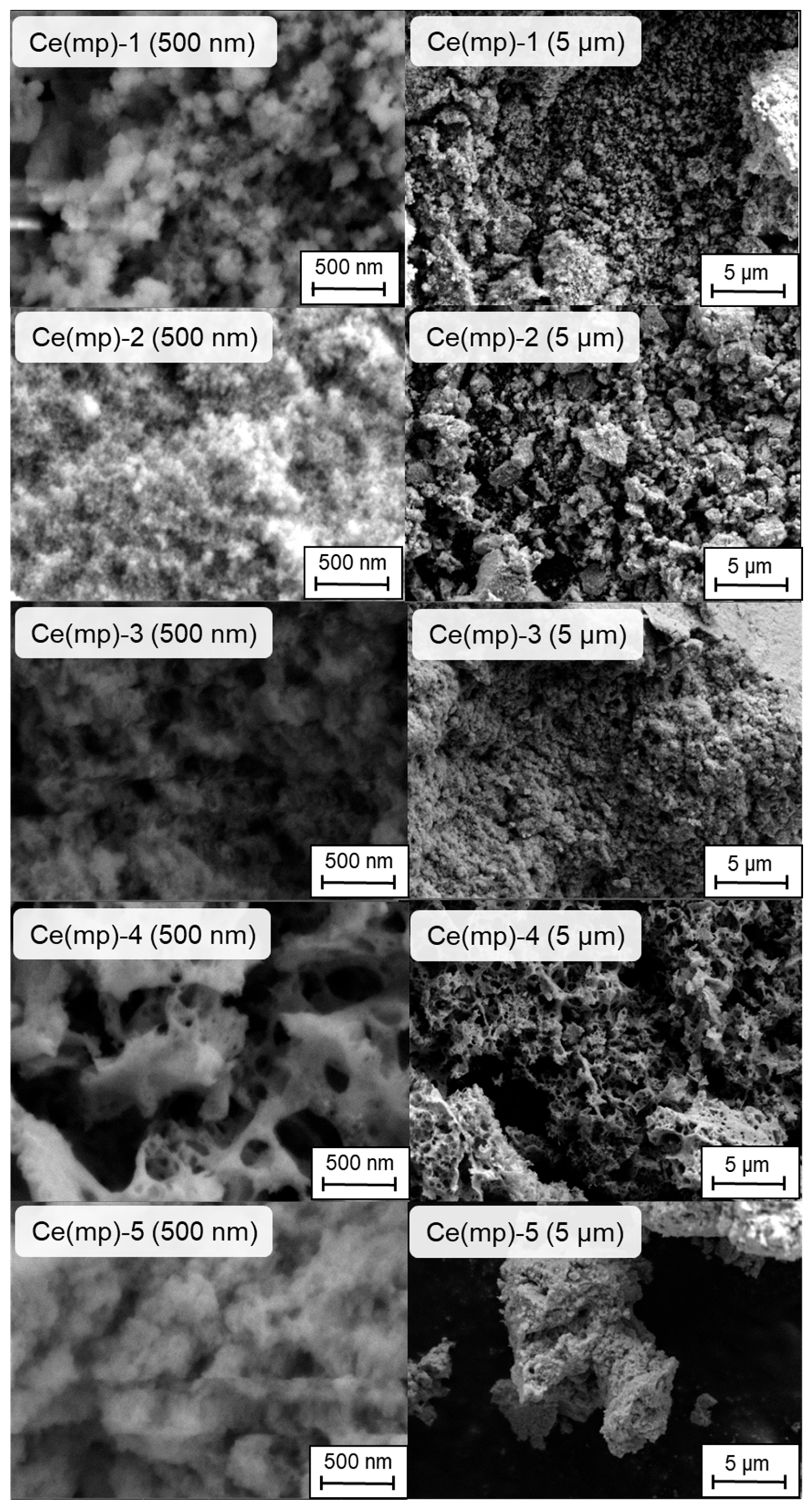 Molecules 30 04312 g002 Molecules 30 04312 g002