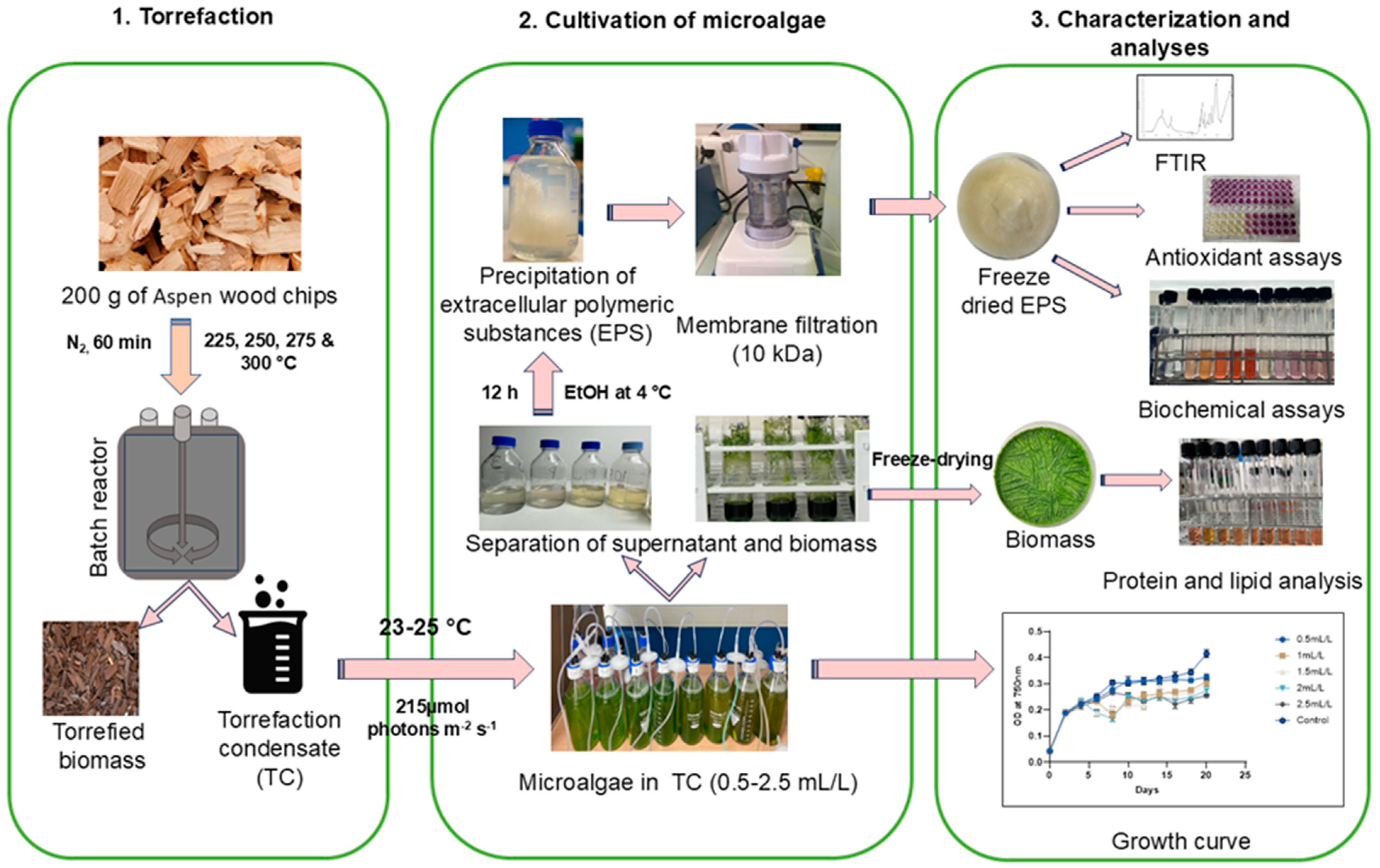 Molecules 30 04313 g008