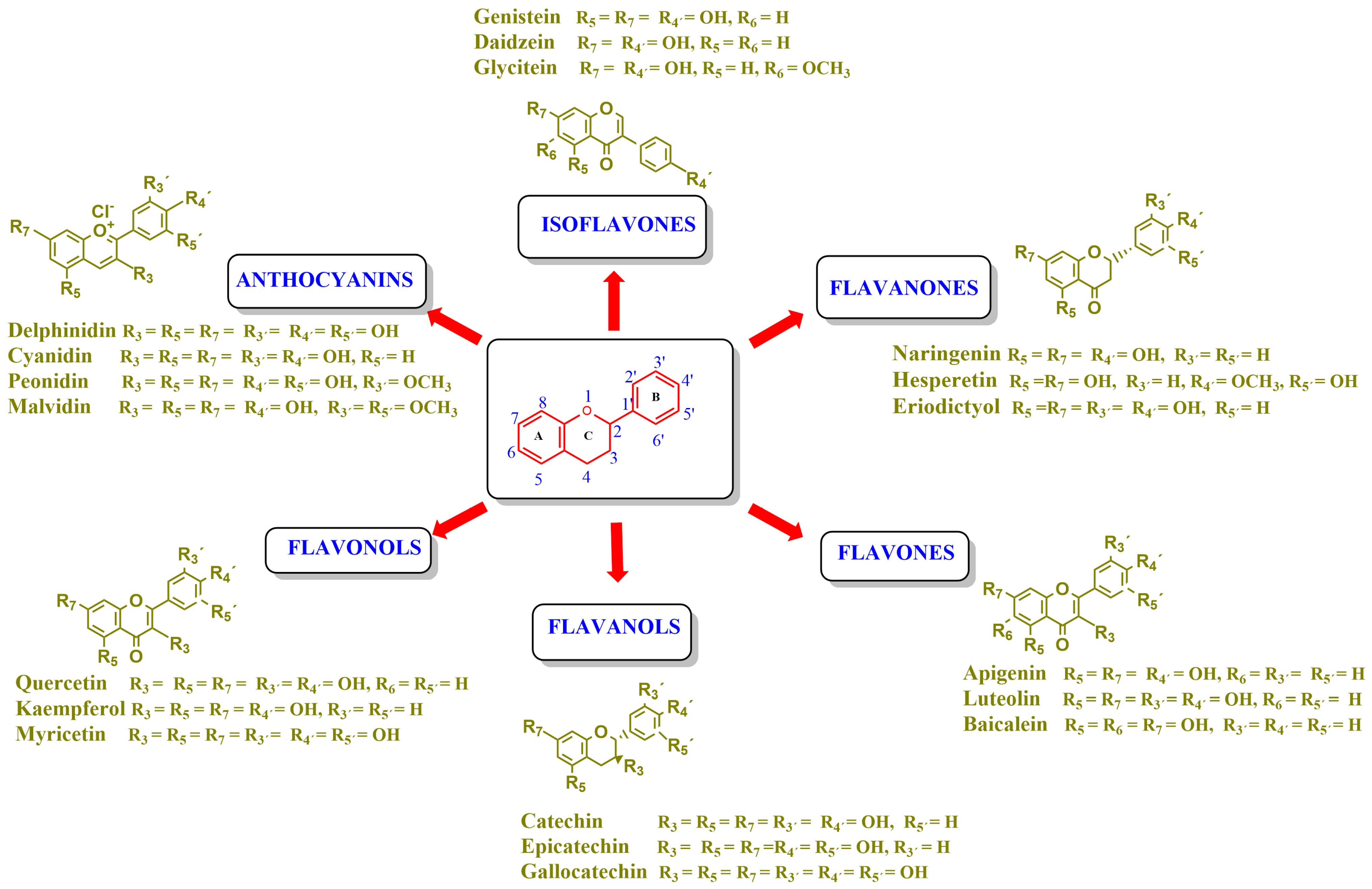 Molecules 30 04315 g001