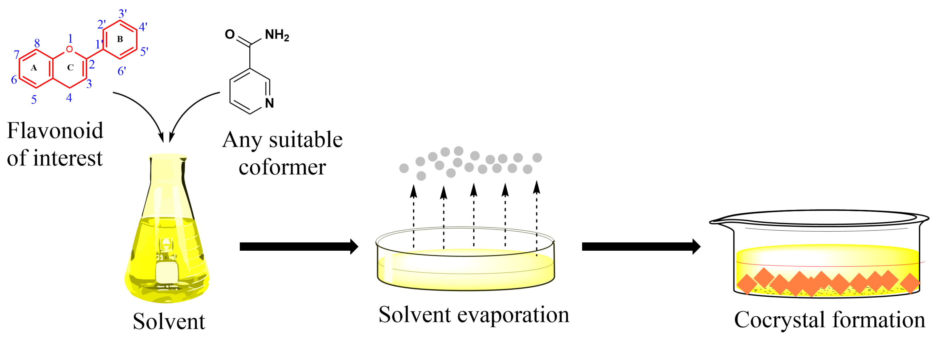 Molecules 30 04315 g005