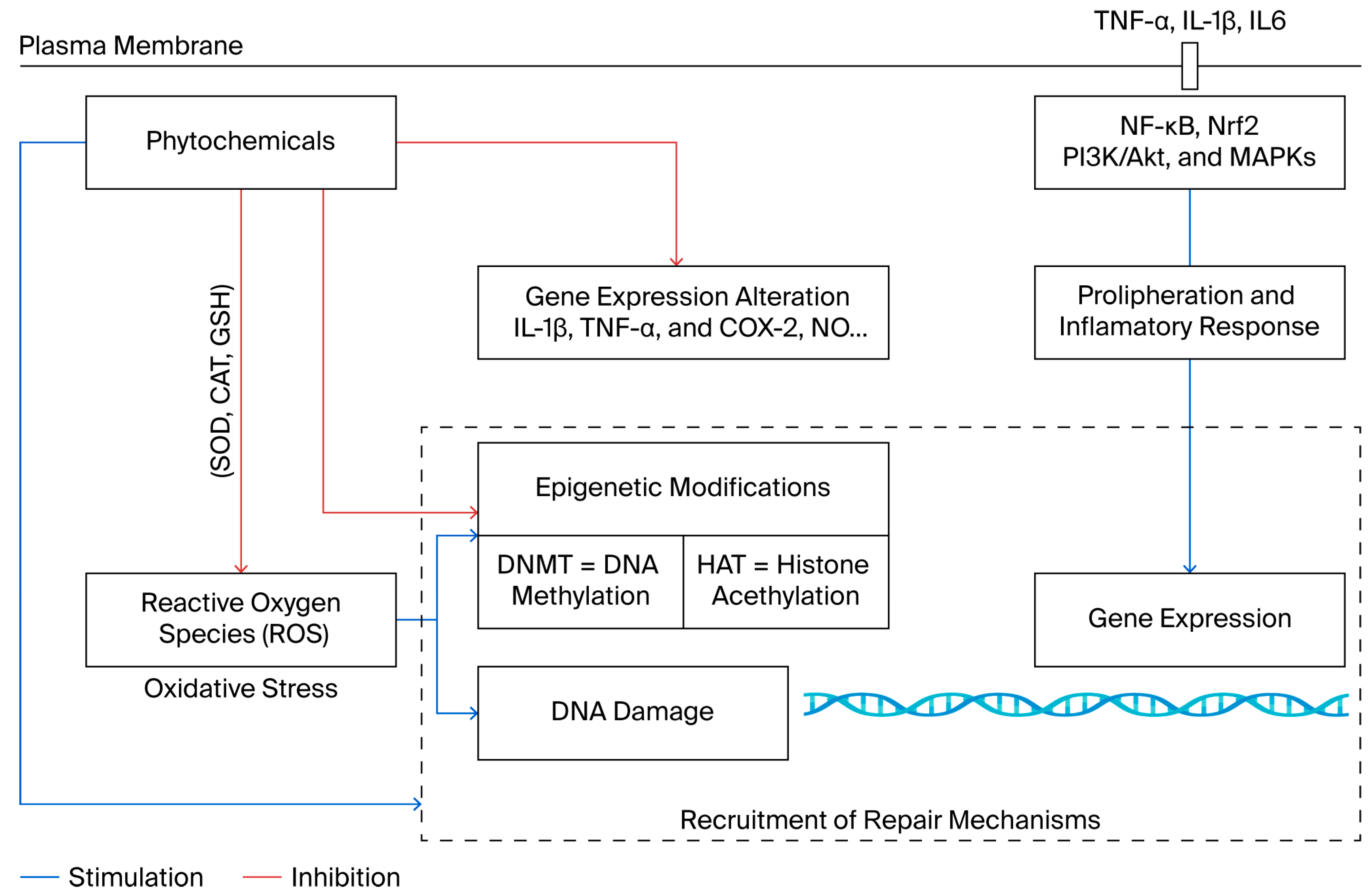 Molecules 30 04317 g001