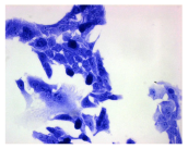 Molecules 30 04319 i002