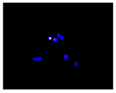 Molecules 30 04319 i006
