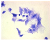 Molecules 30 04319 i013