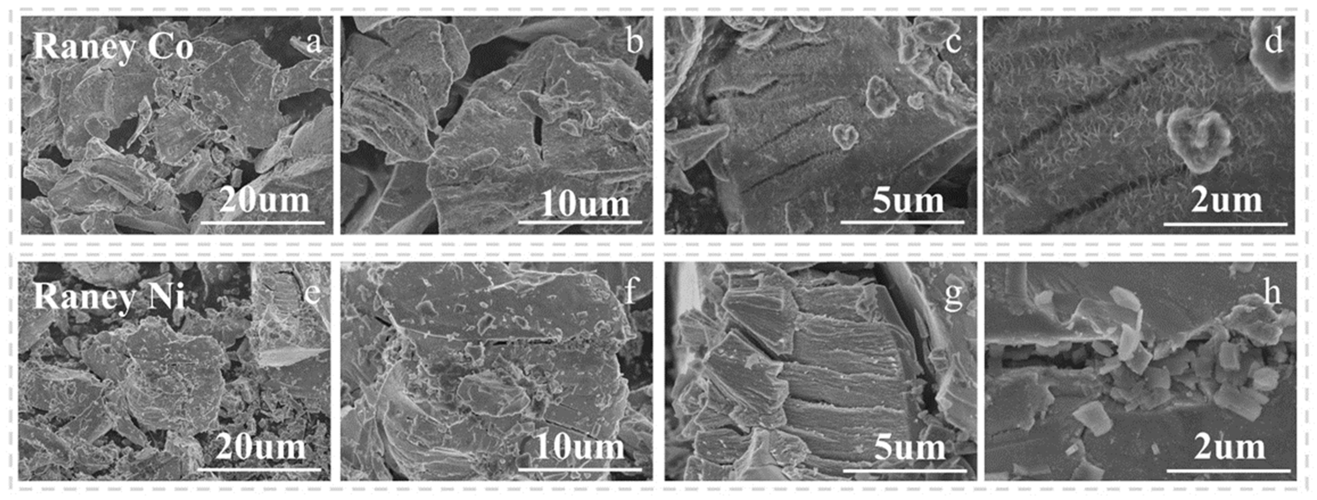 Molecules 30 04336 g005