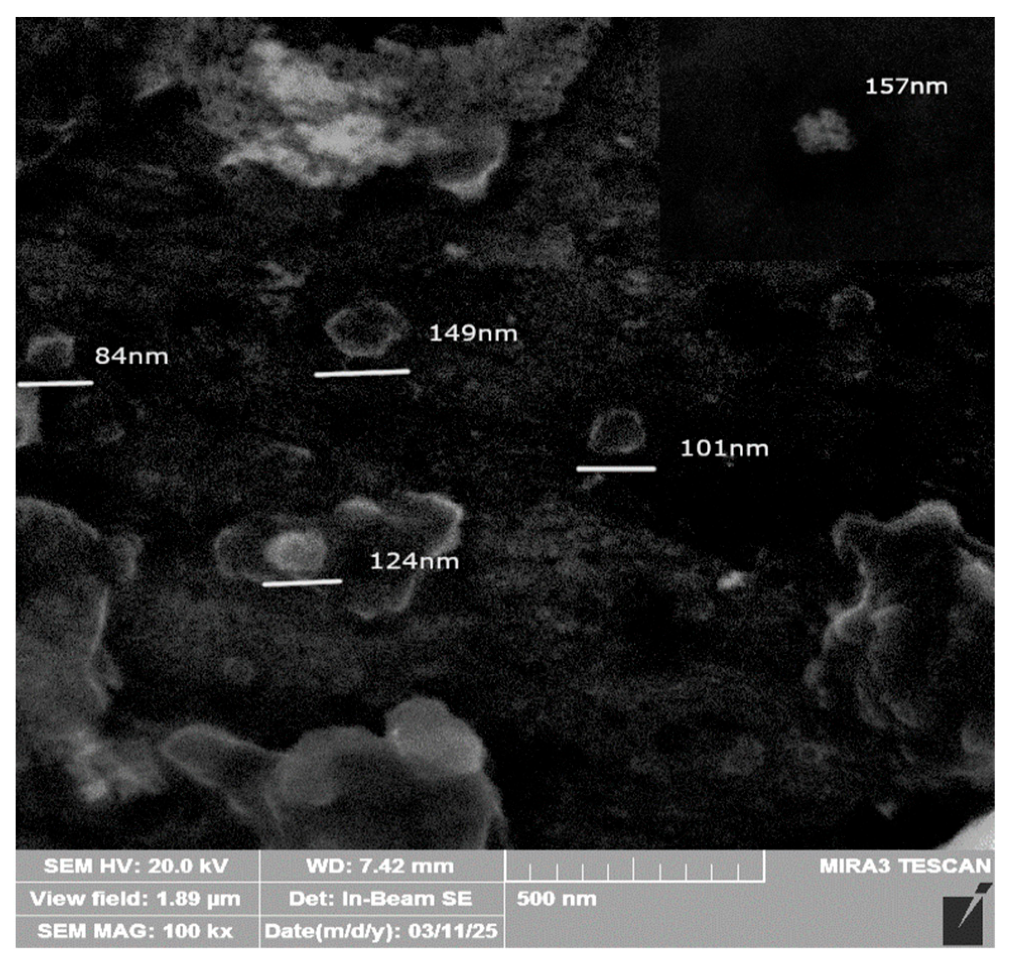 Molecules 30 04337 g005