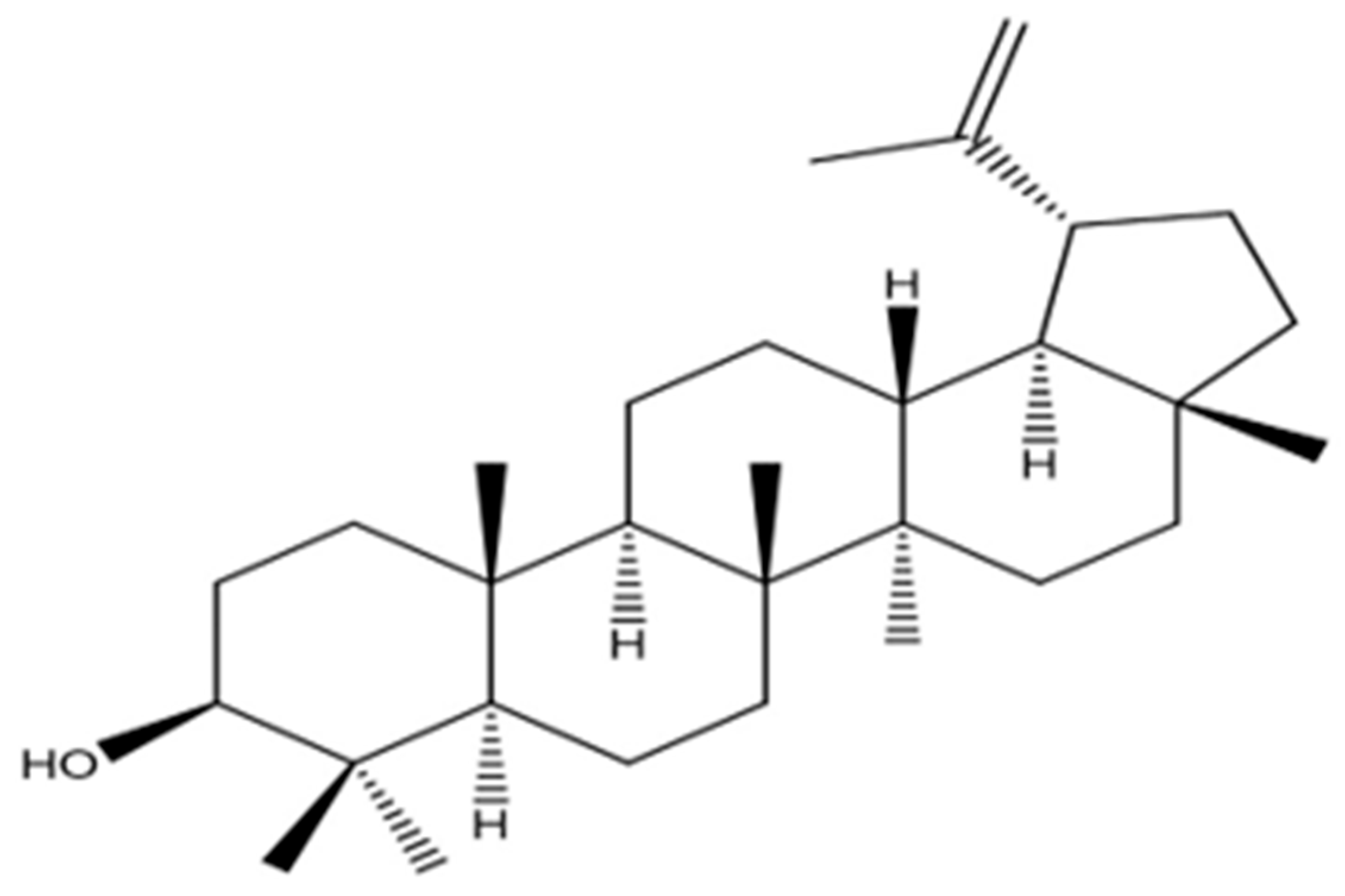Molecules 30 04339 g002 Molecules 30 04339 g002