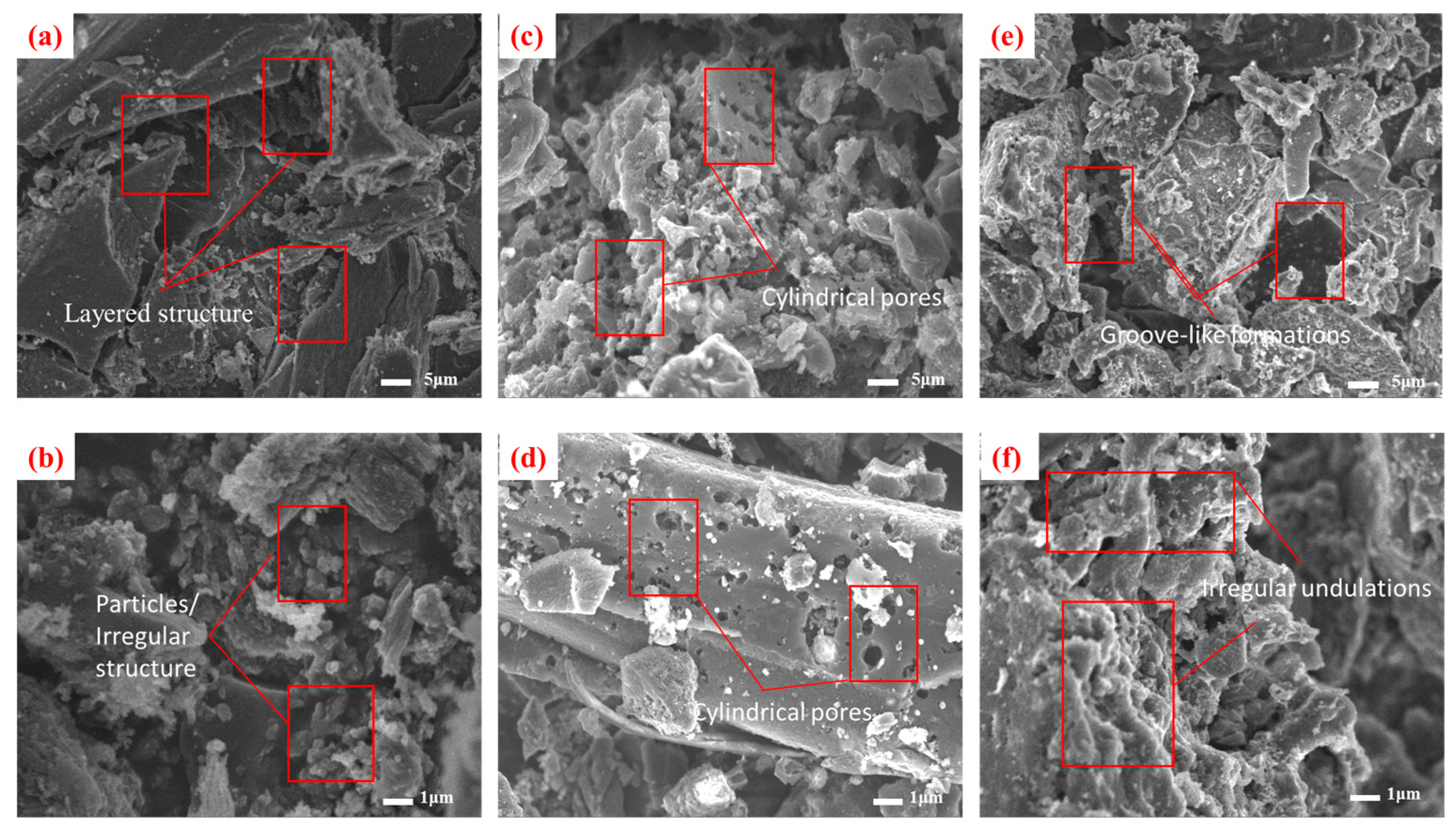 Molecules 30 04348 g001