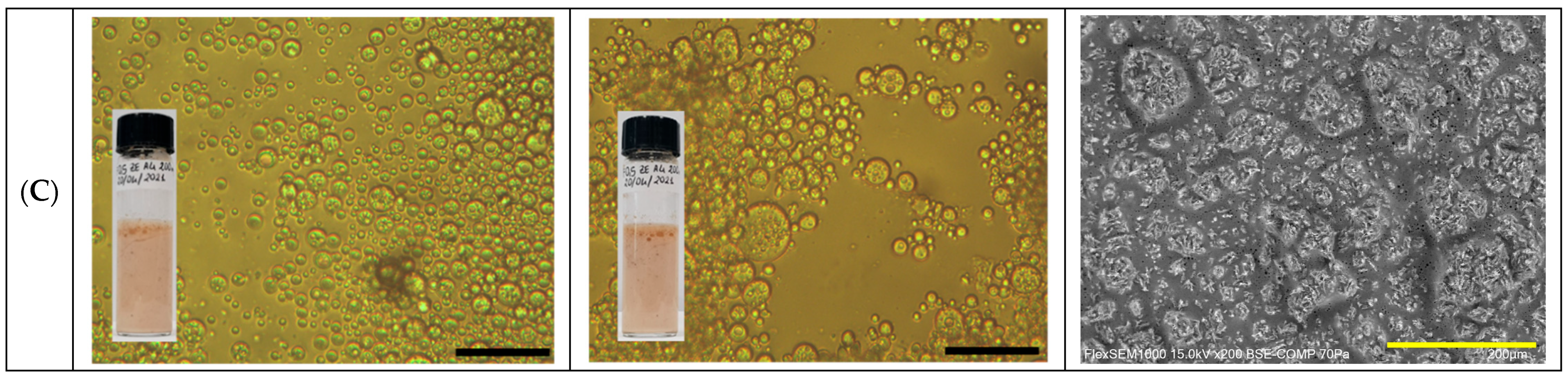 Molecules 30 04349 g001b
