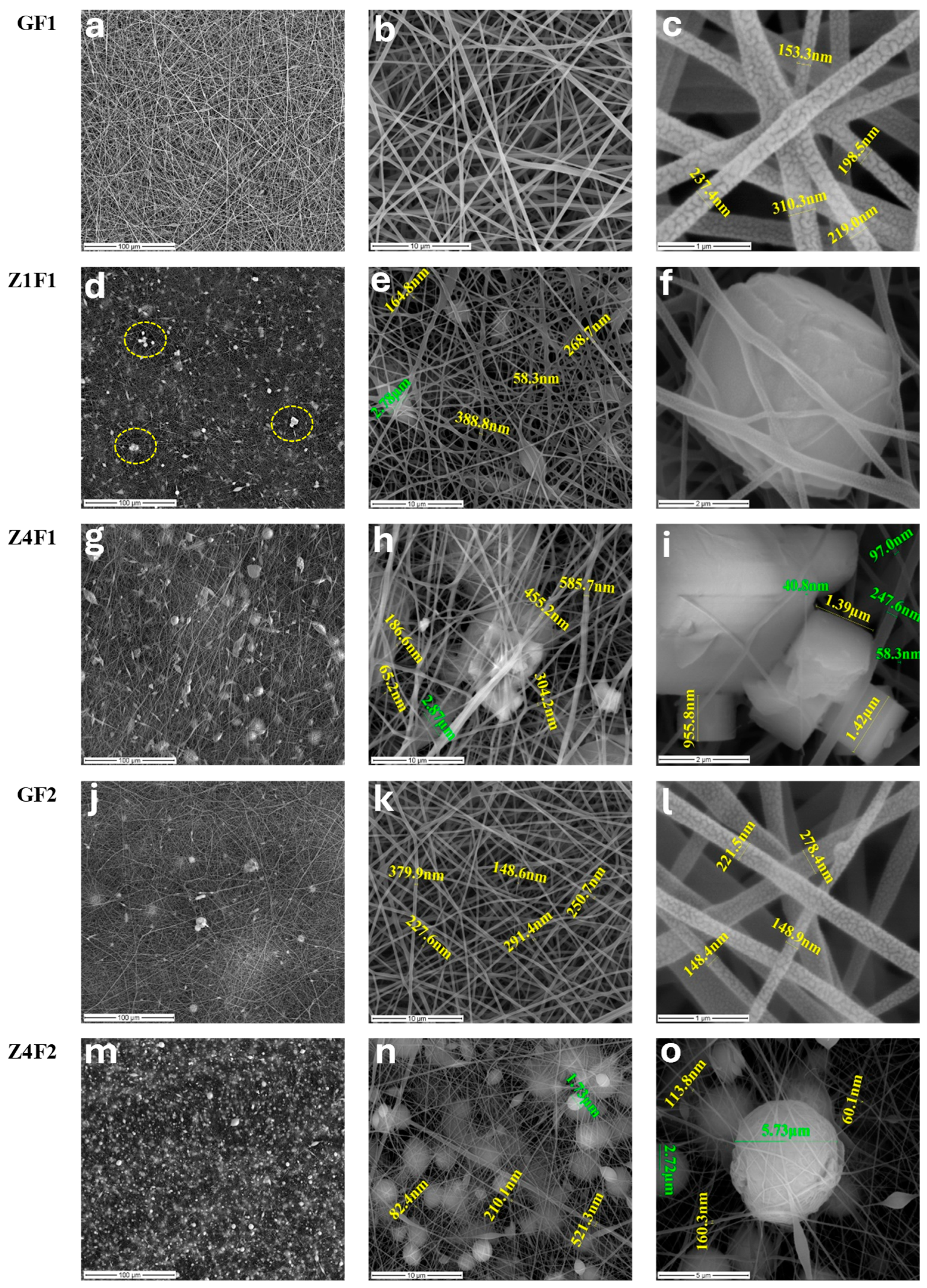 Molecules 30 04353 g001