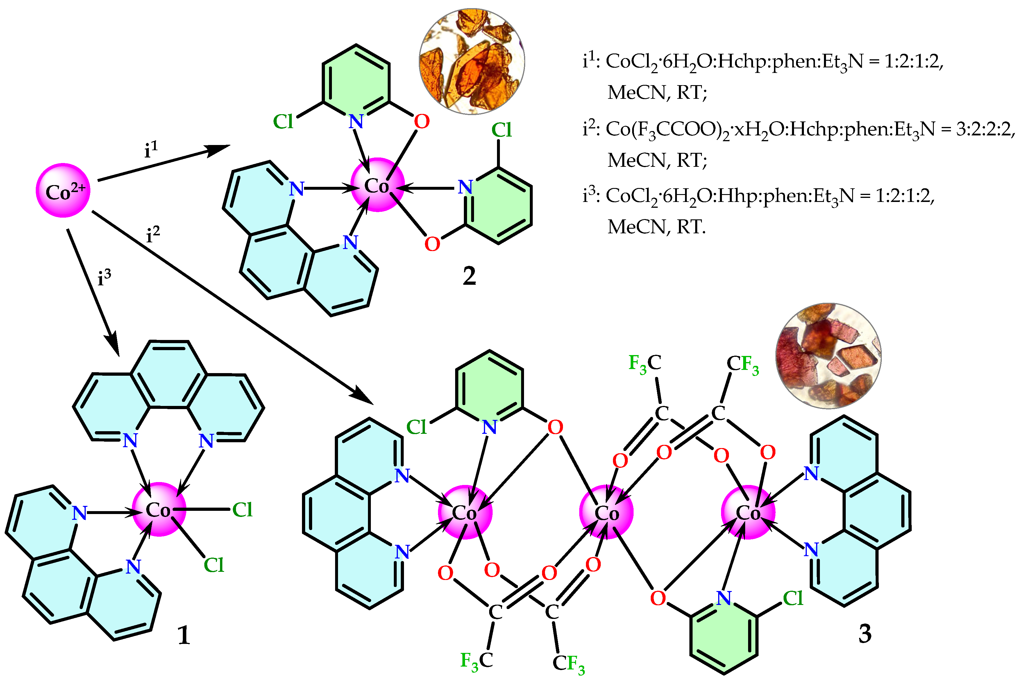 Molecules 30 04367 sch001