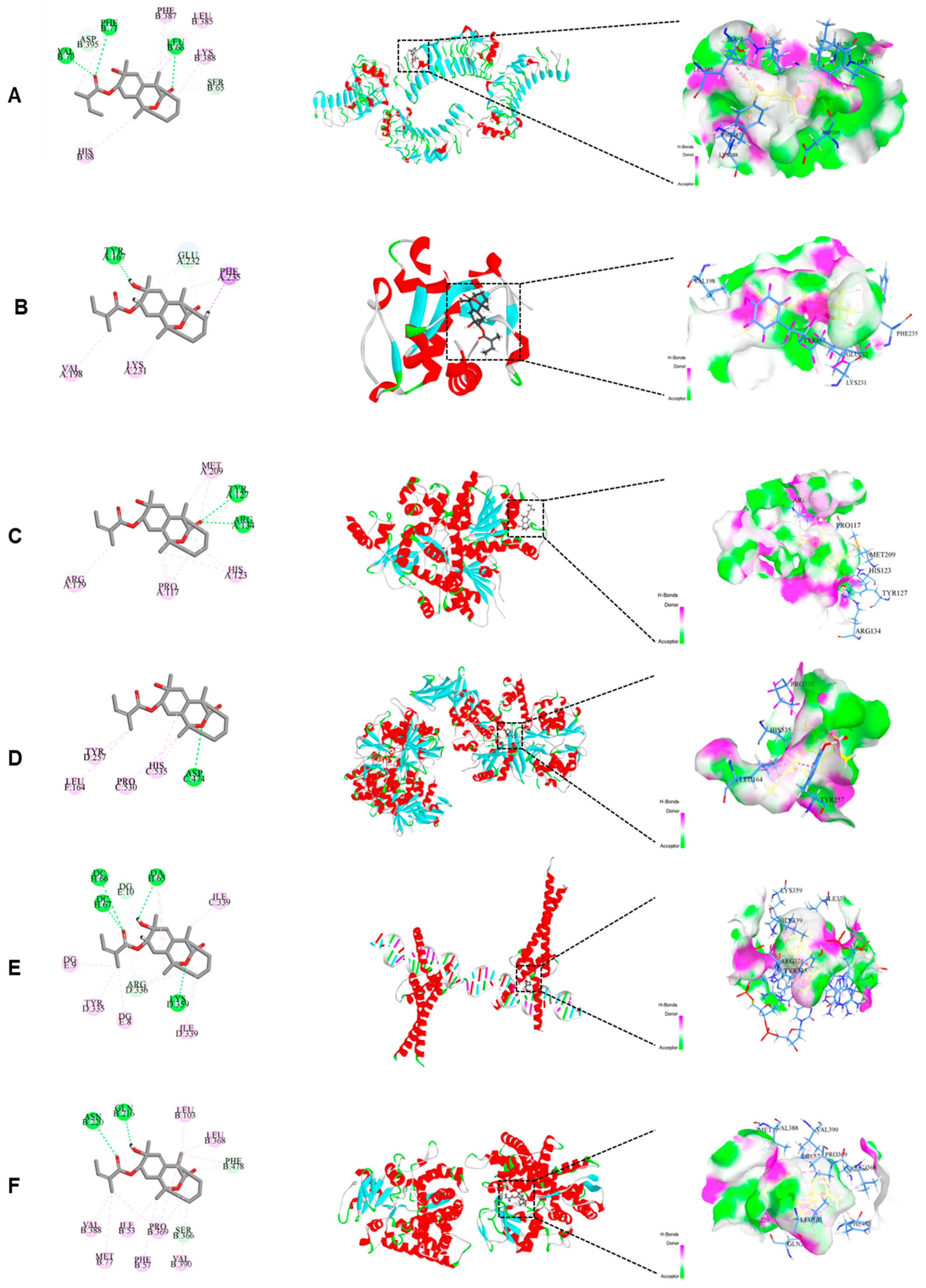 Molecules 30 04371 g006 Molecules 30 04371 g006