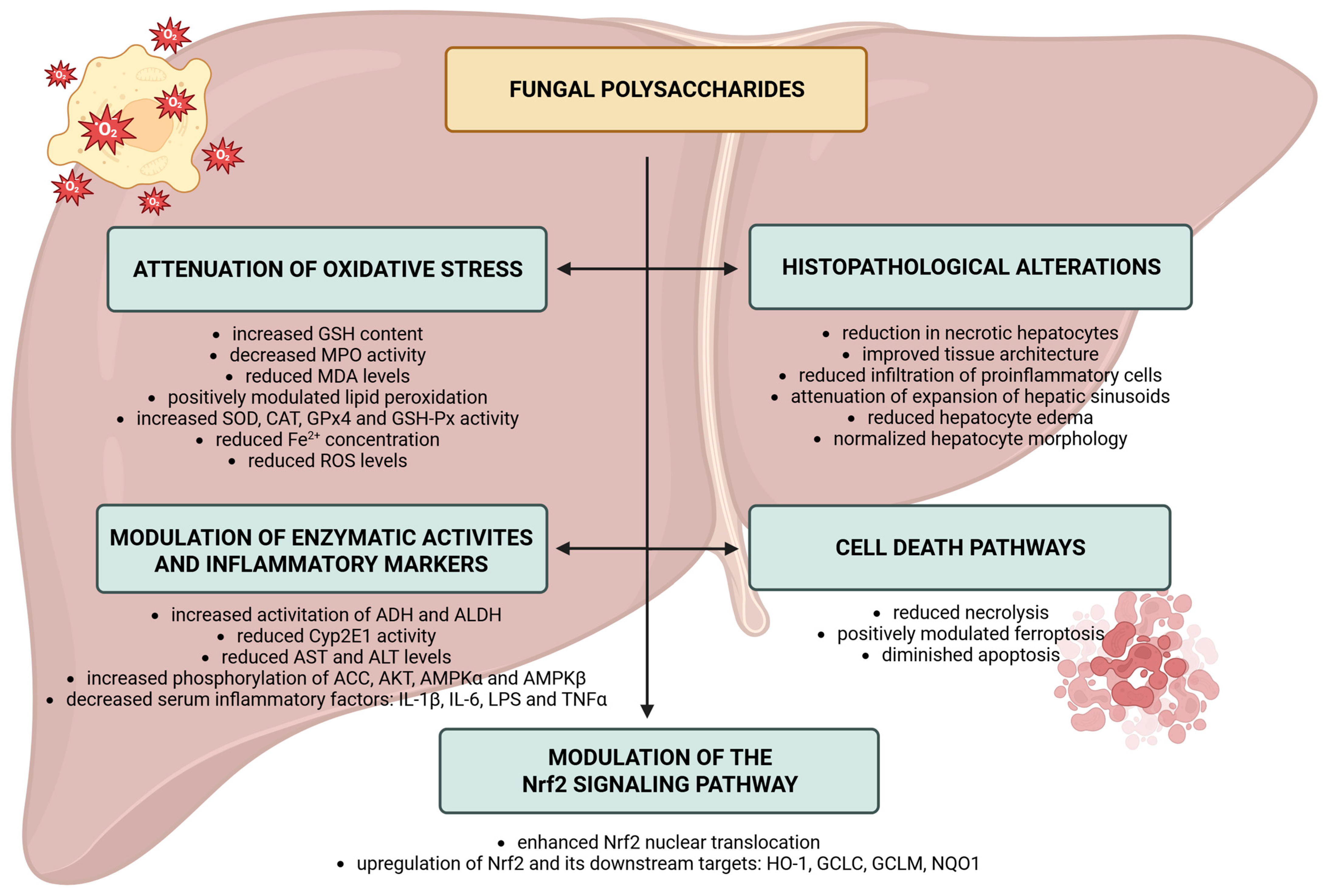 Molecules 30 04384 g002 Molecules 30 04384 g002