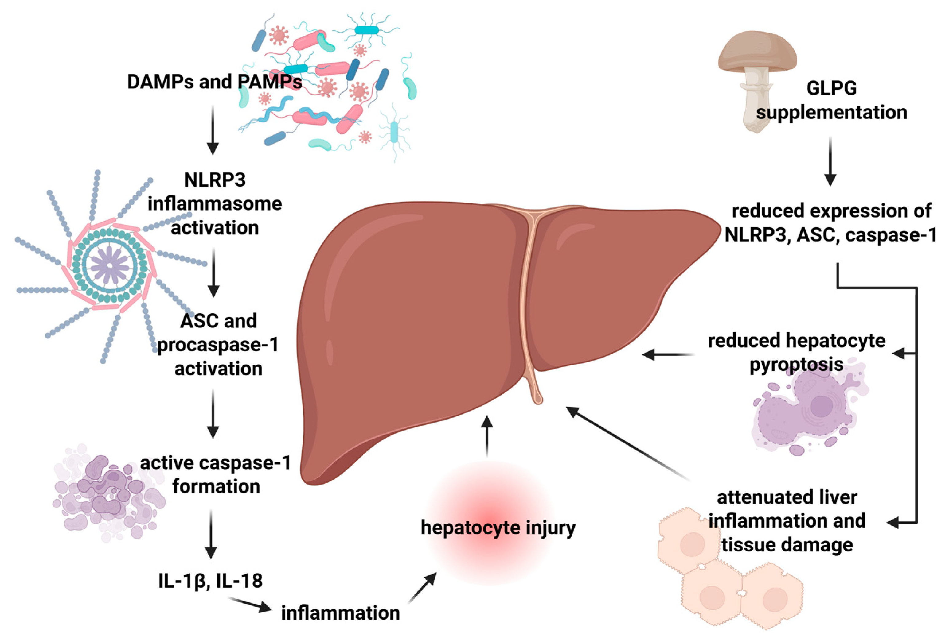 Molecules 30 04384 g003 Molecules 30 04384 g003