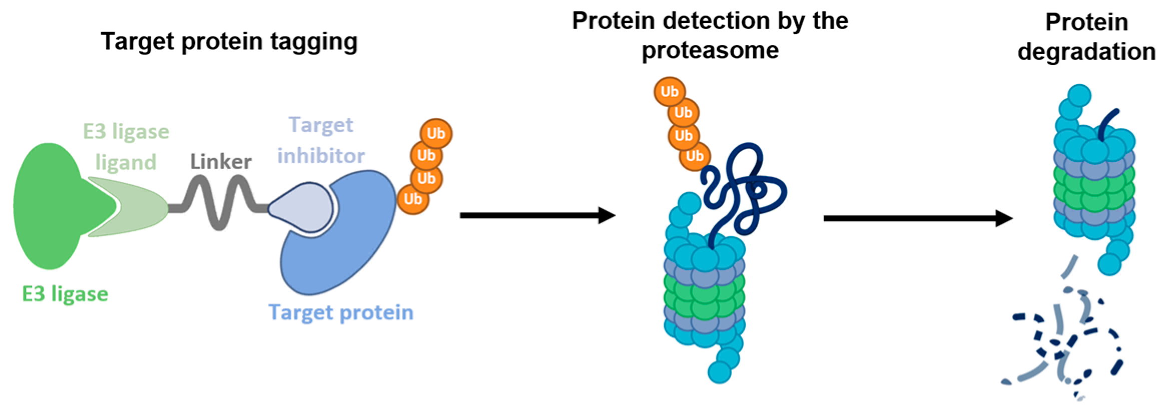 Molecules 30 04388 g003