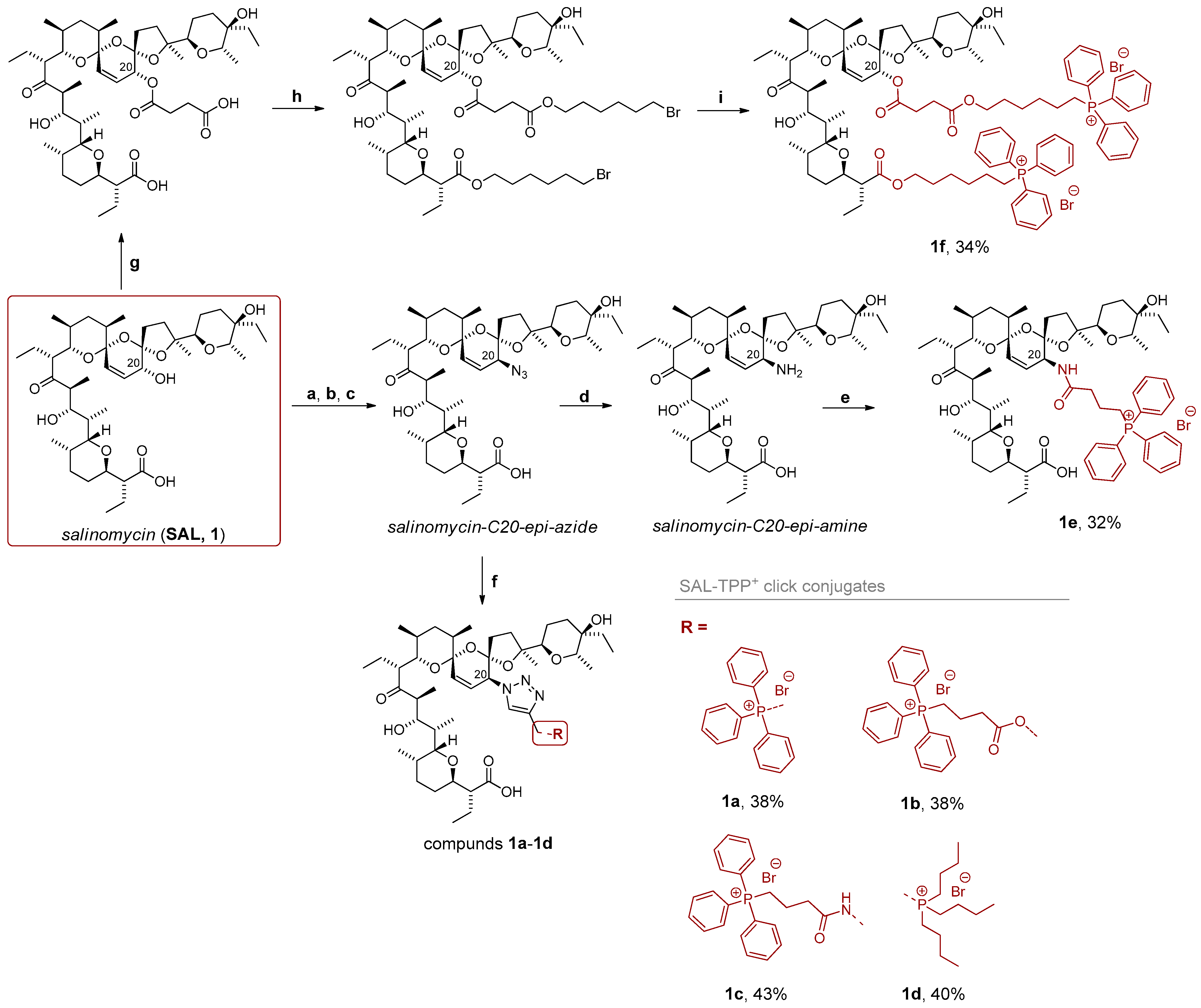 Molecules 30 04413 sch002
