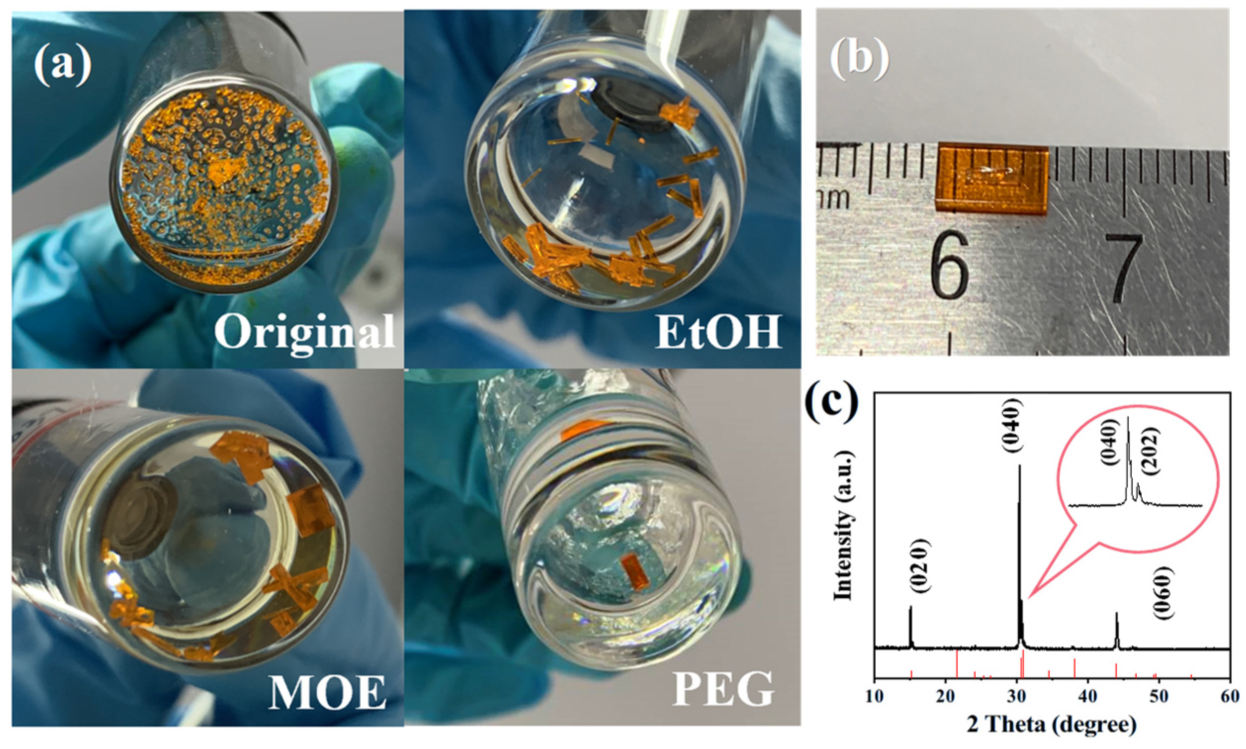 Molecules 30 04423 g001