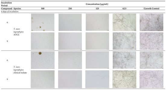 Molecules 30 04439 g0a2a