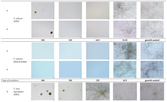 Molecules 30 04439 g0a2b