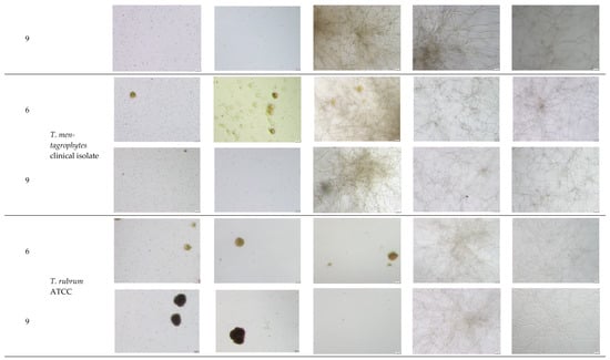 Molecules 30 04439 g0a2c