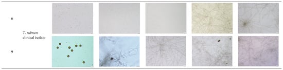 Molecules 30 04439 g0a2d