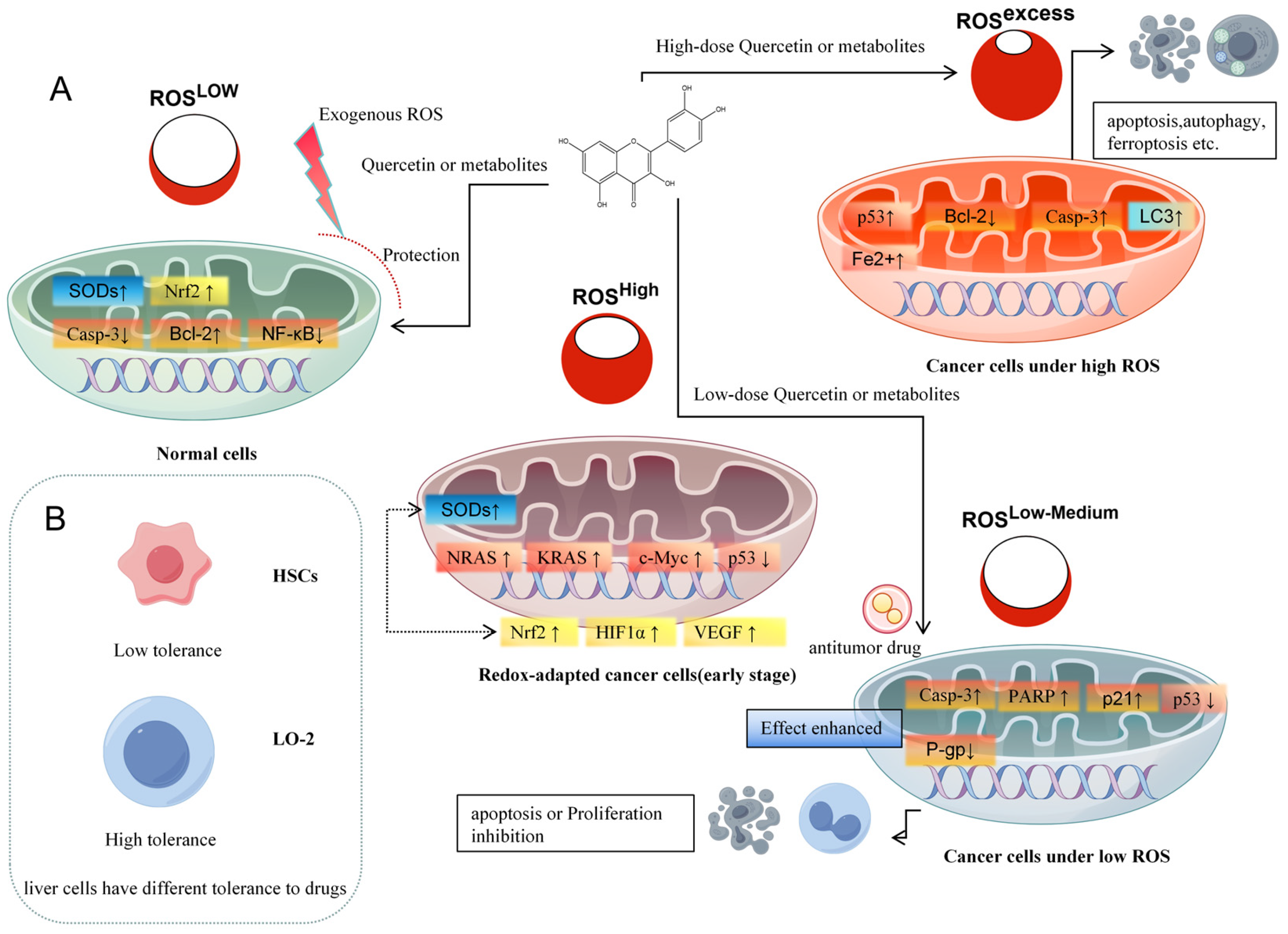 Molecules 30 04441 g002