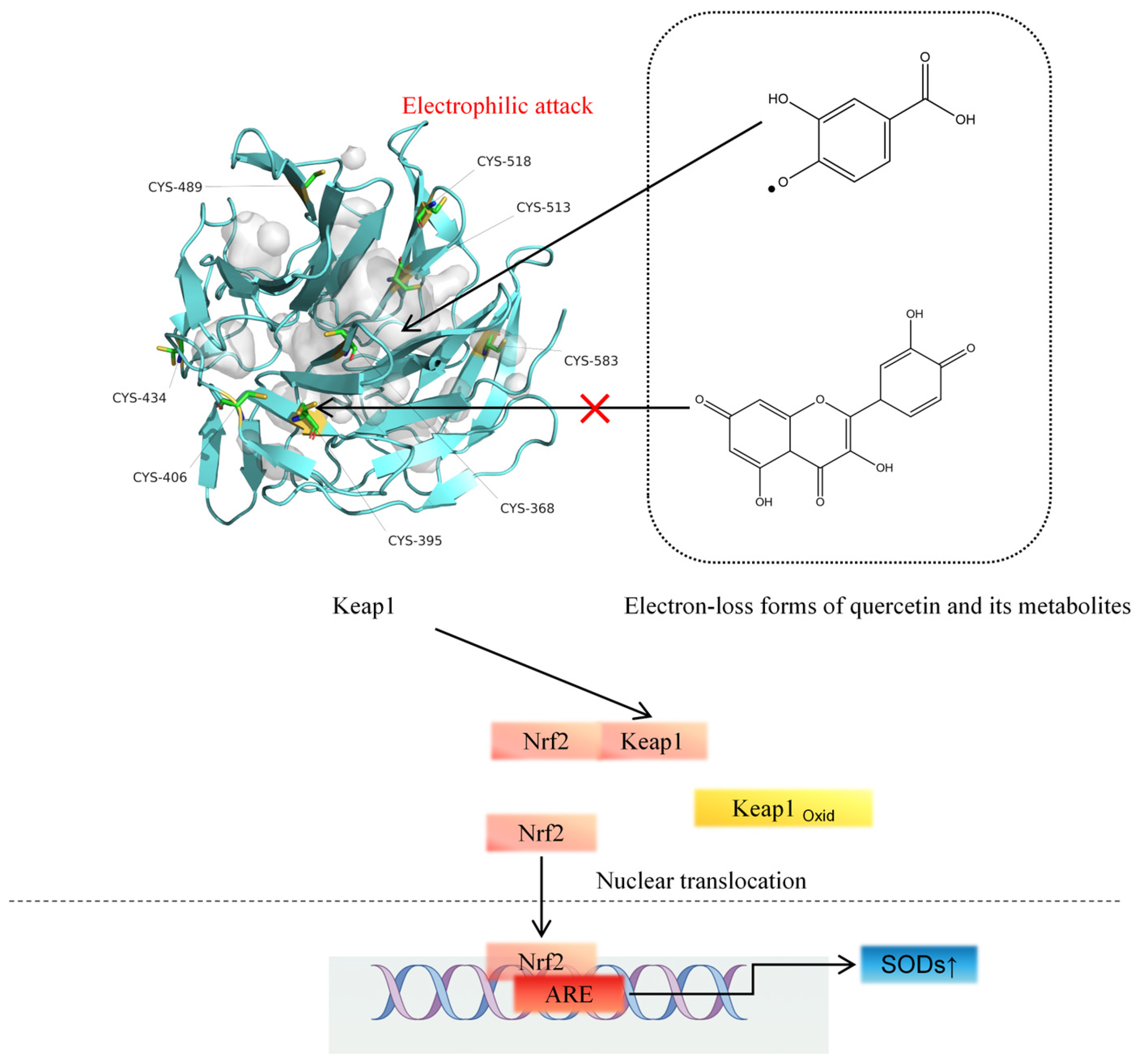 Molecules 30 04441 g003