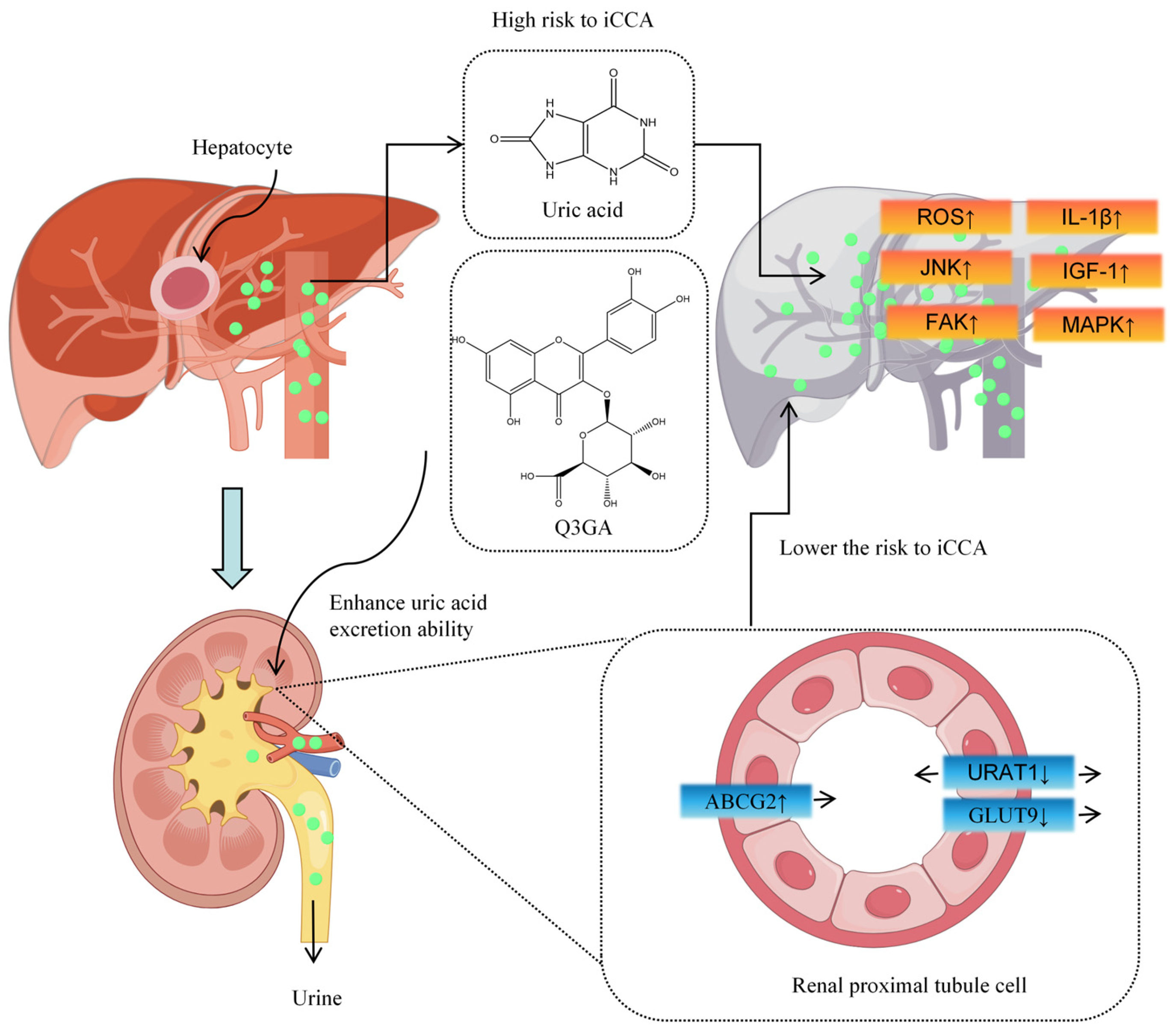 Molecules 30 04441 g004