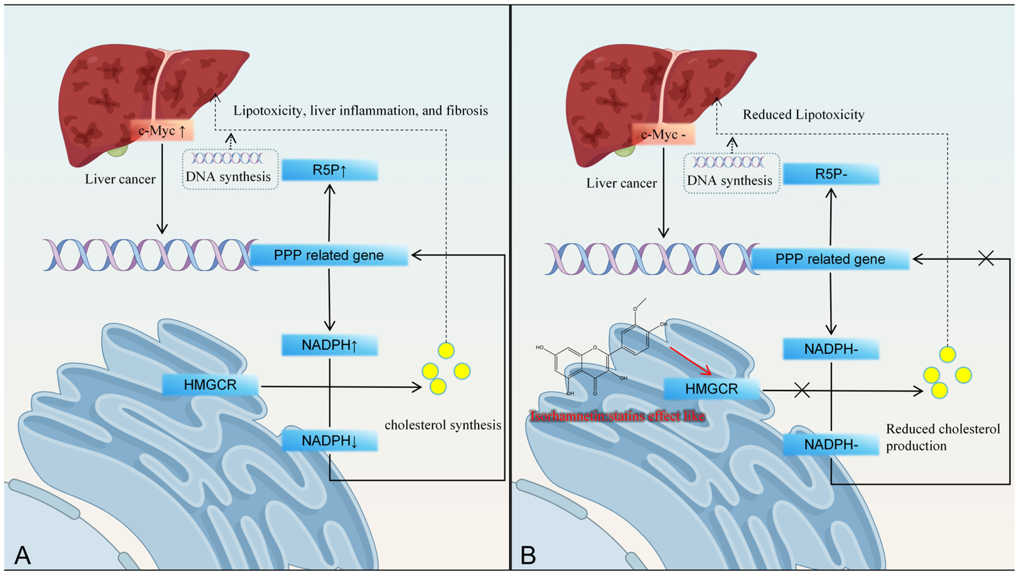Molecules 30 04441 g005