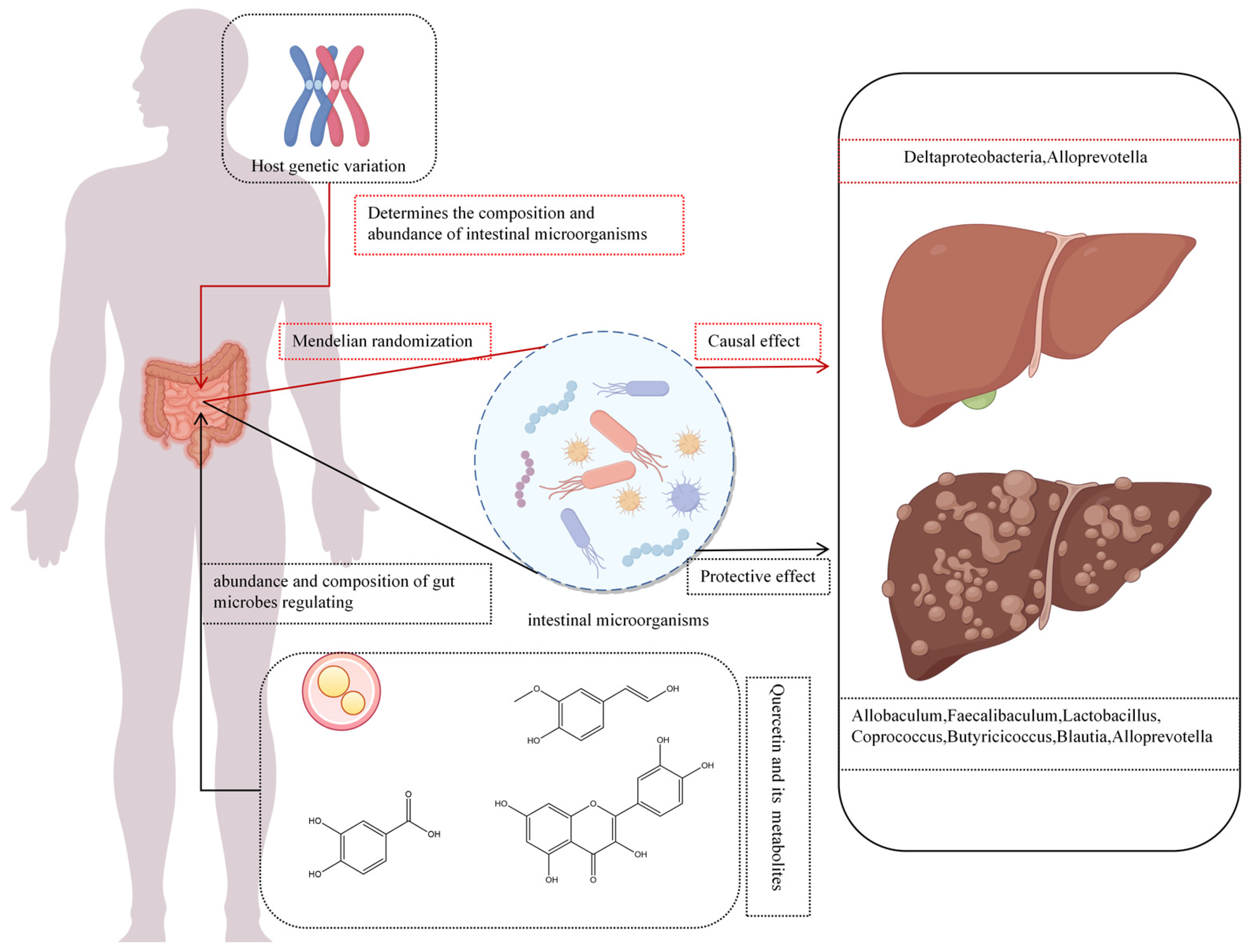 Molecules 30 04441 g006