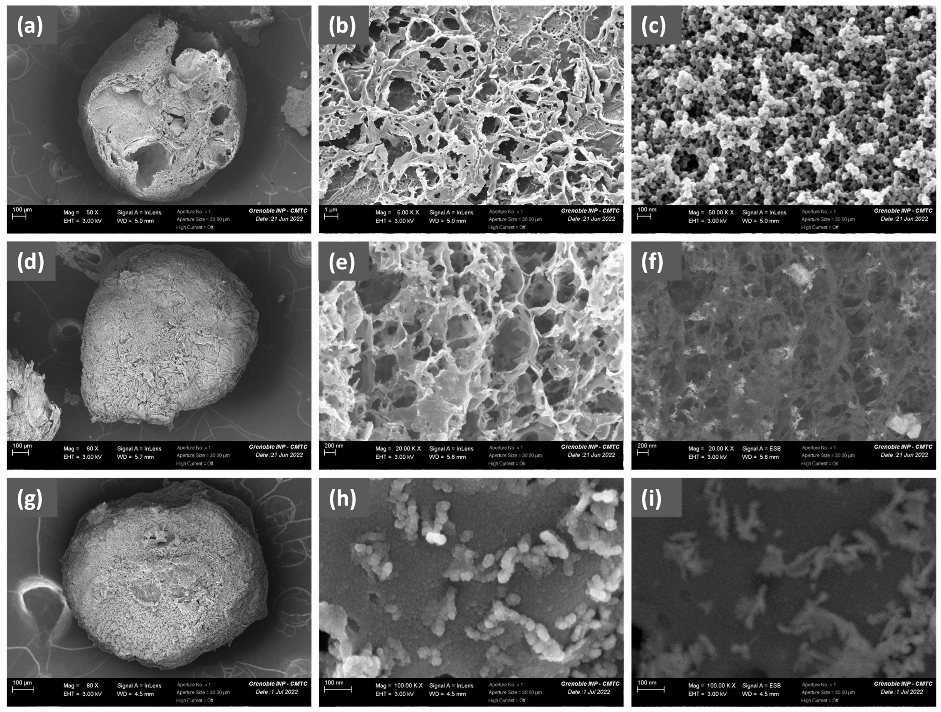Molecules 30 04443 g002 Molecules 30 04443 g002