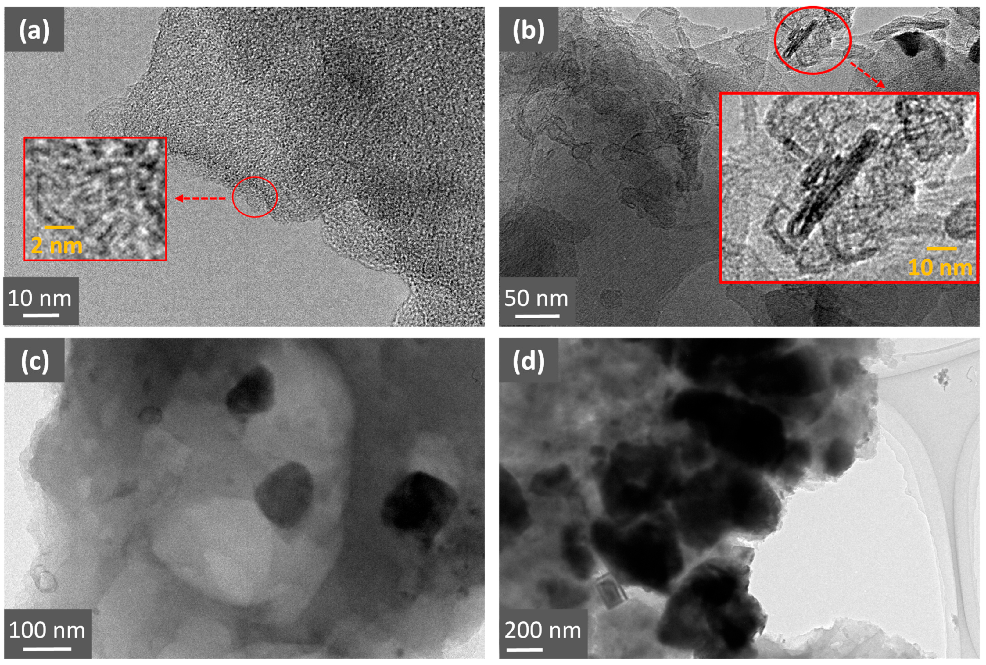 Molecules 30 04443 g003 Molecules 30 04443 g003