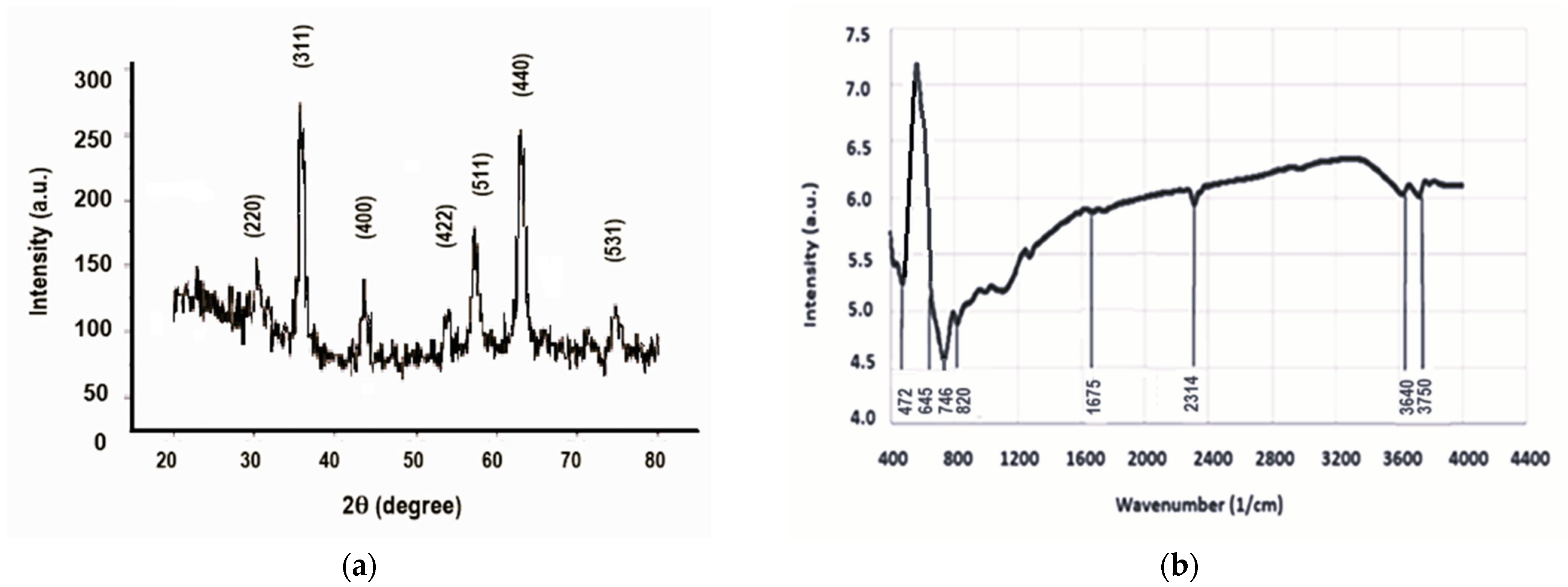 Molecules 30 04447 g002