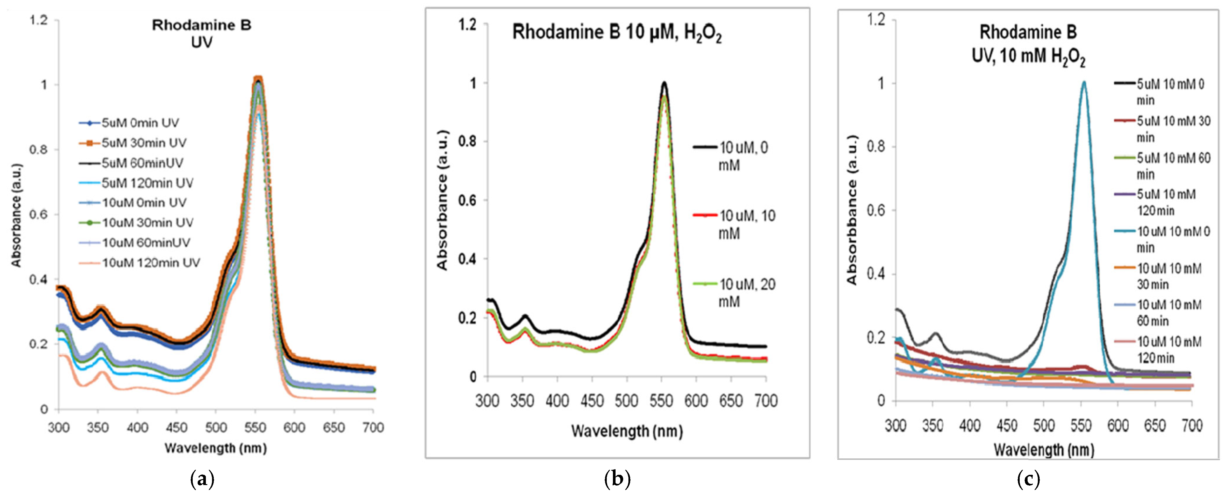 Molecules 30 04447 g004
