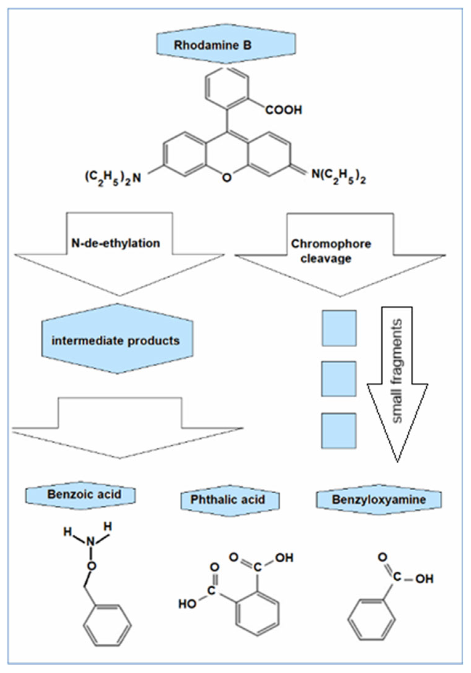 Molecules 30 04447 g009