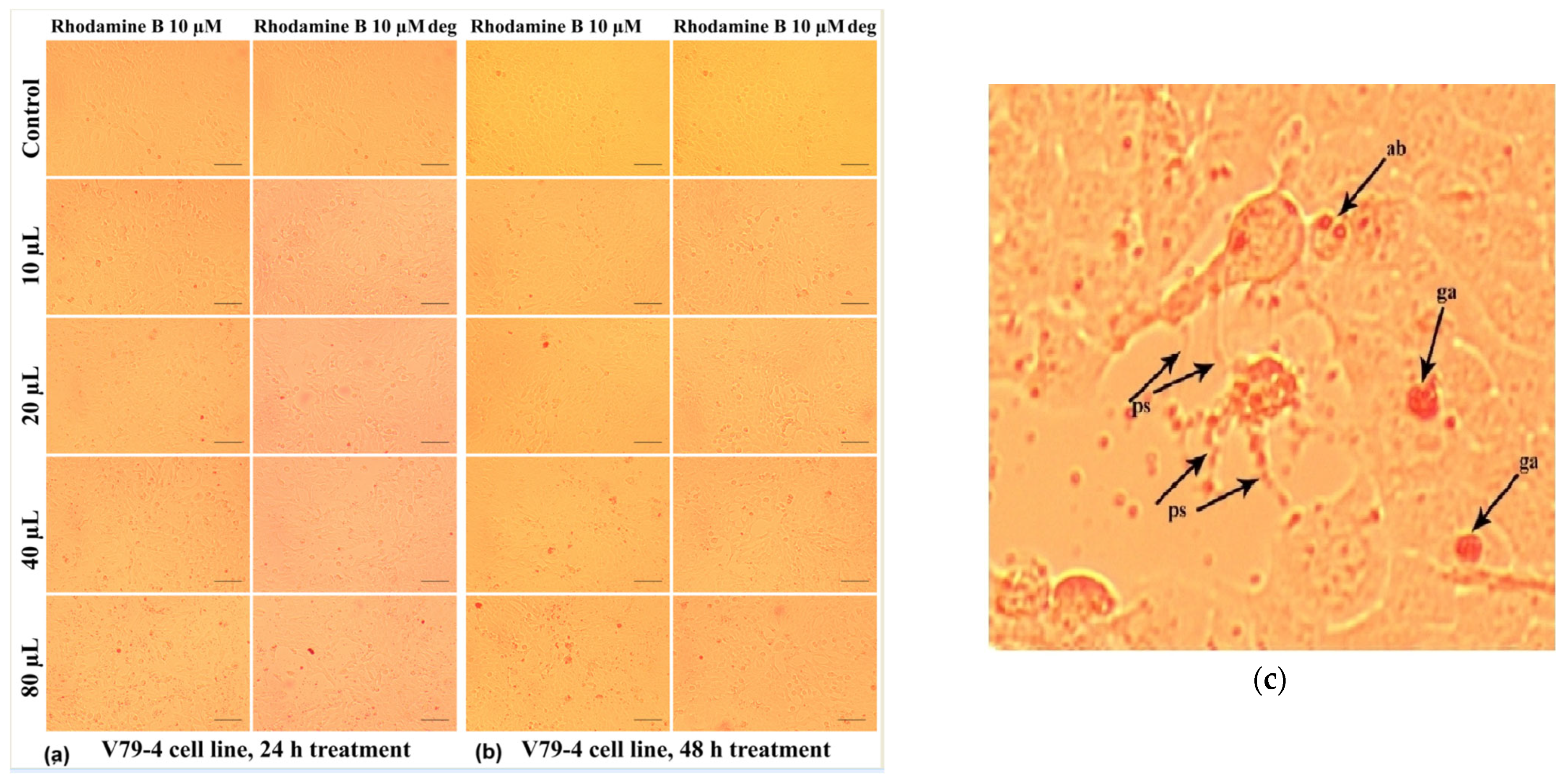 Molecules 30 04447 g020