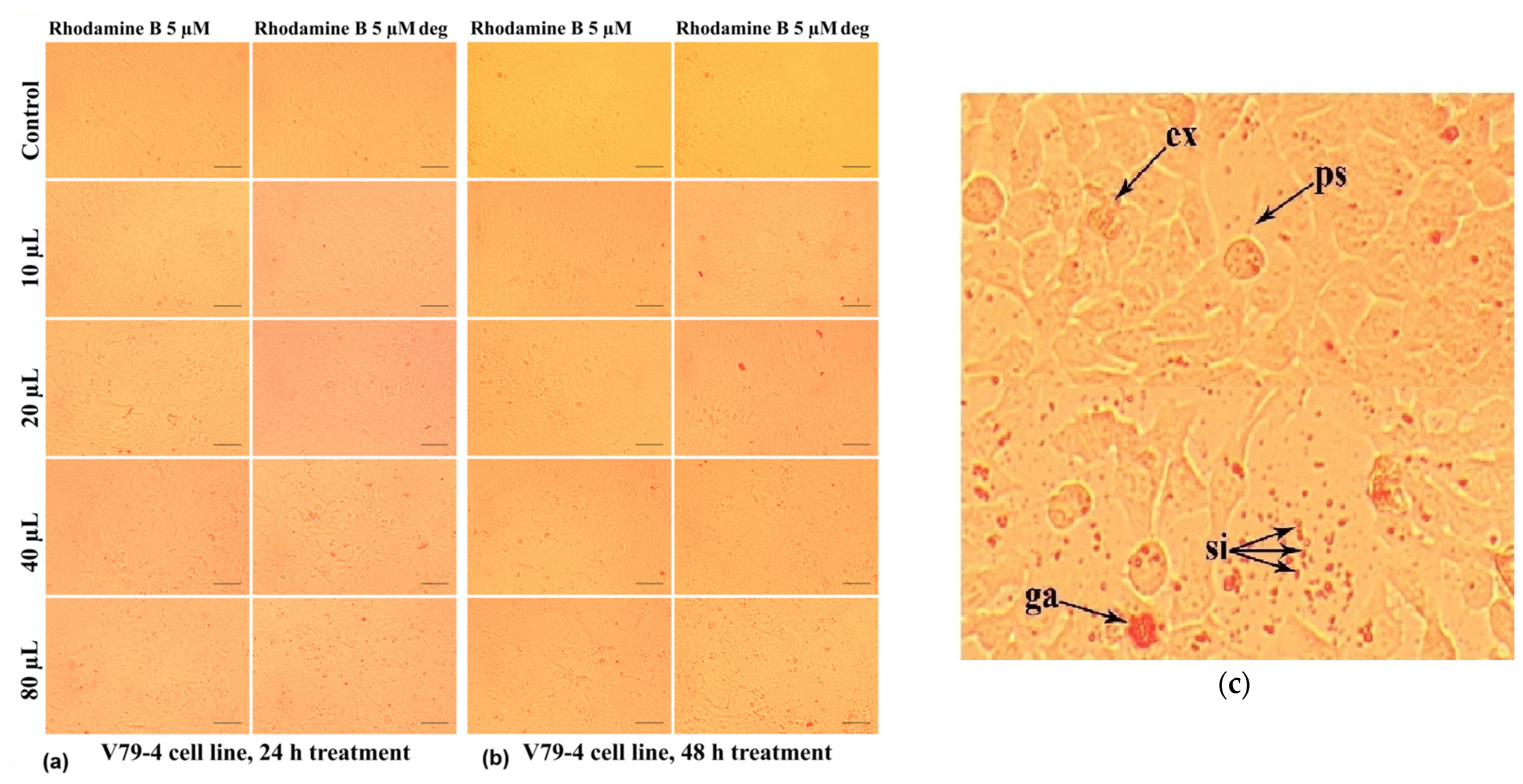 Molecules 30 04447 g021
