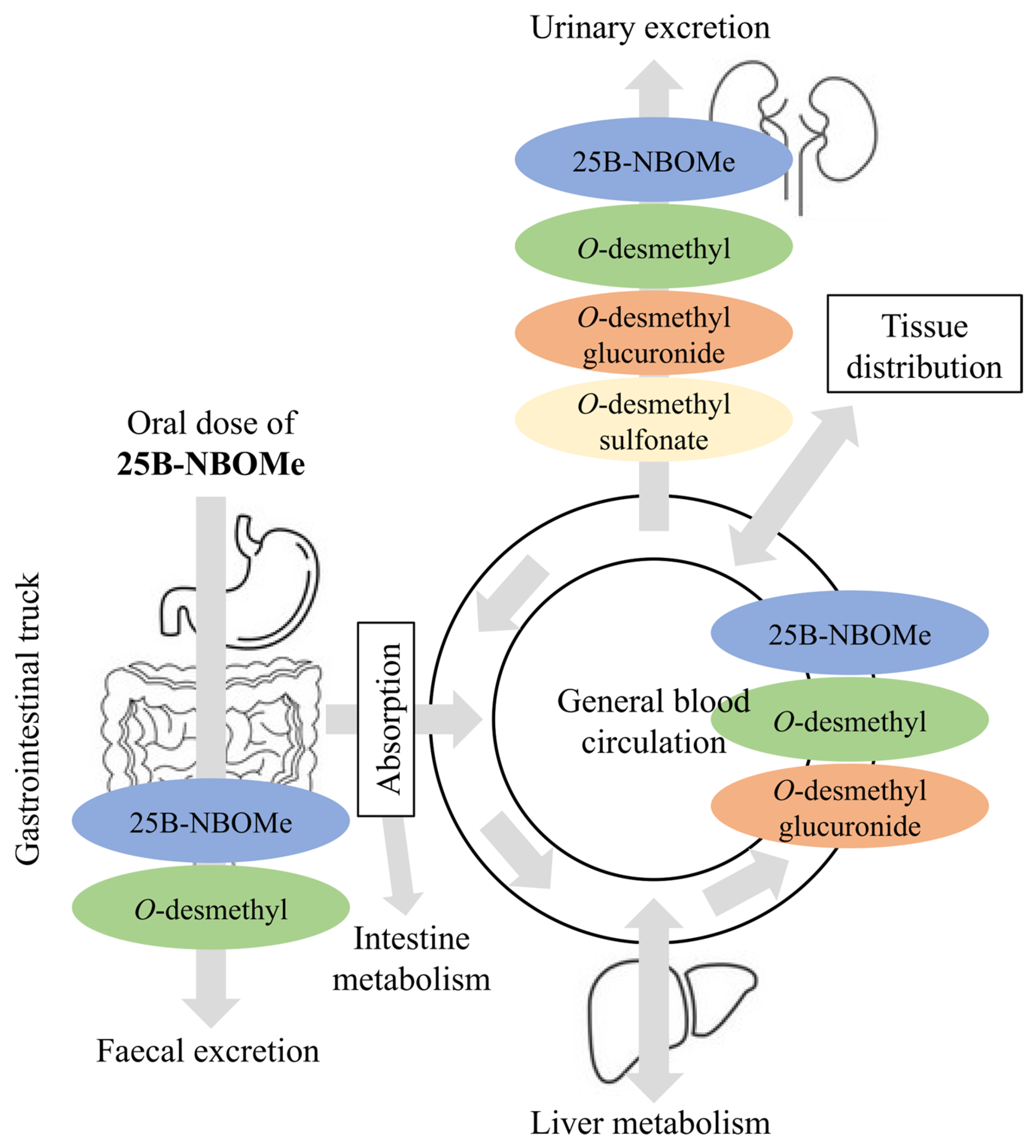 Molecules 30 04450 g006