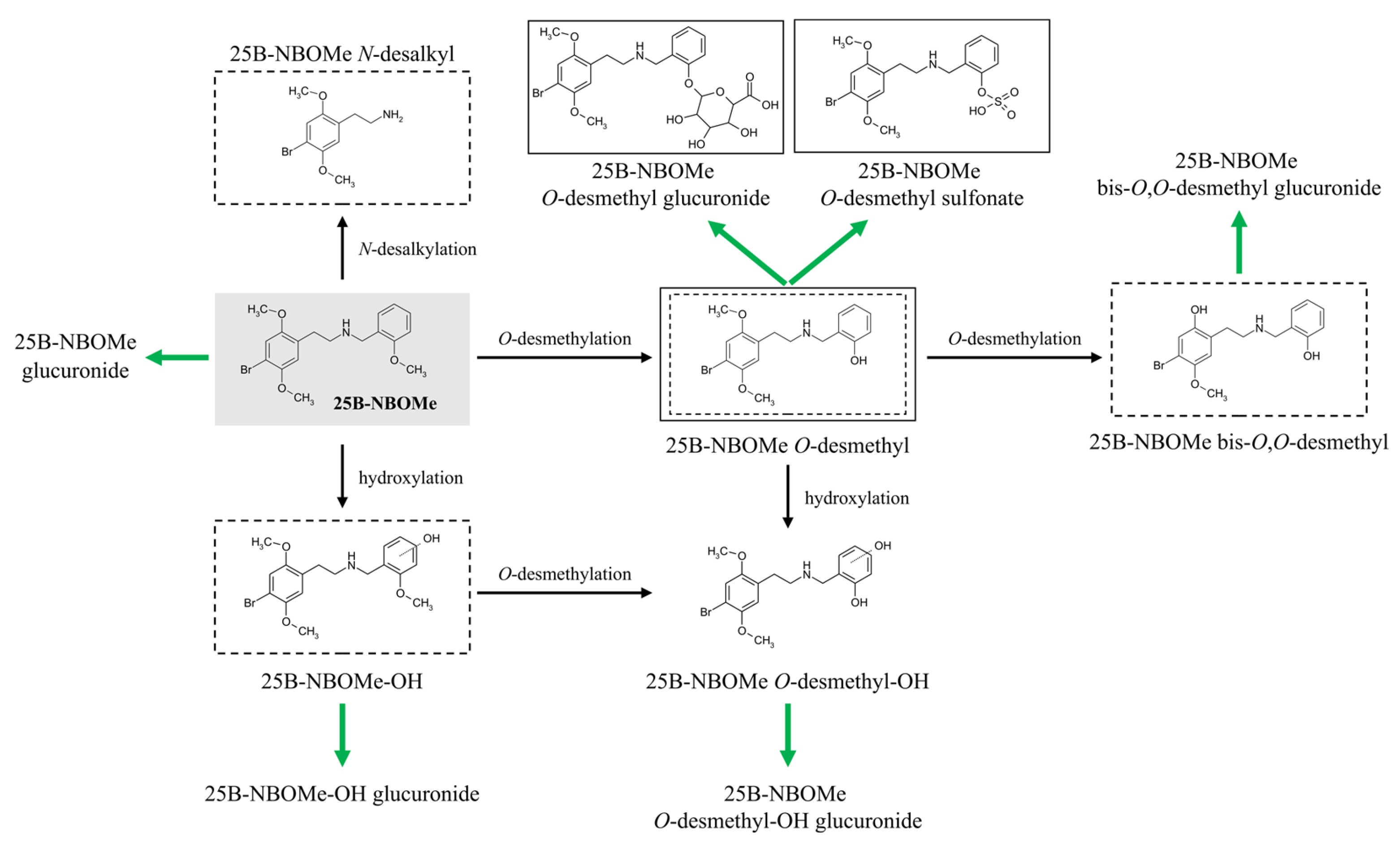 Molecules 30 04450 g007