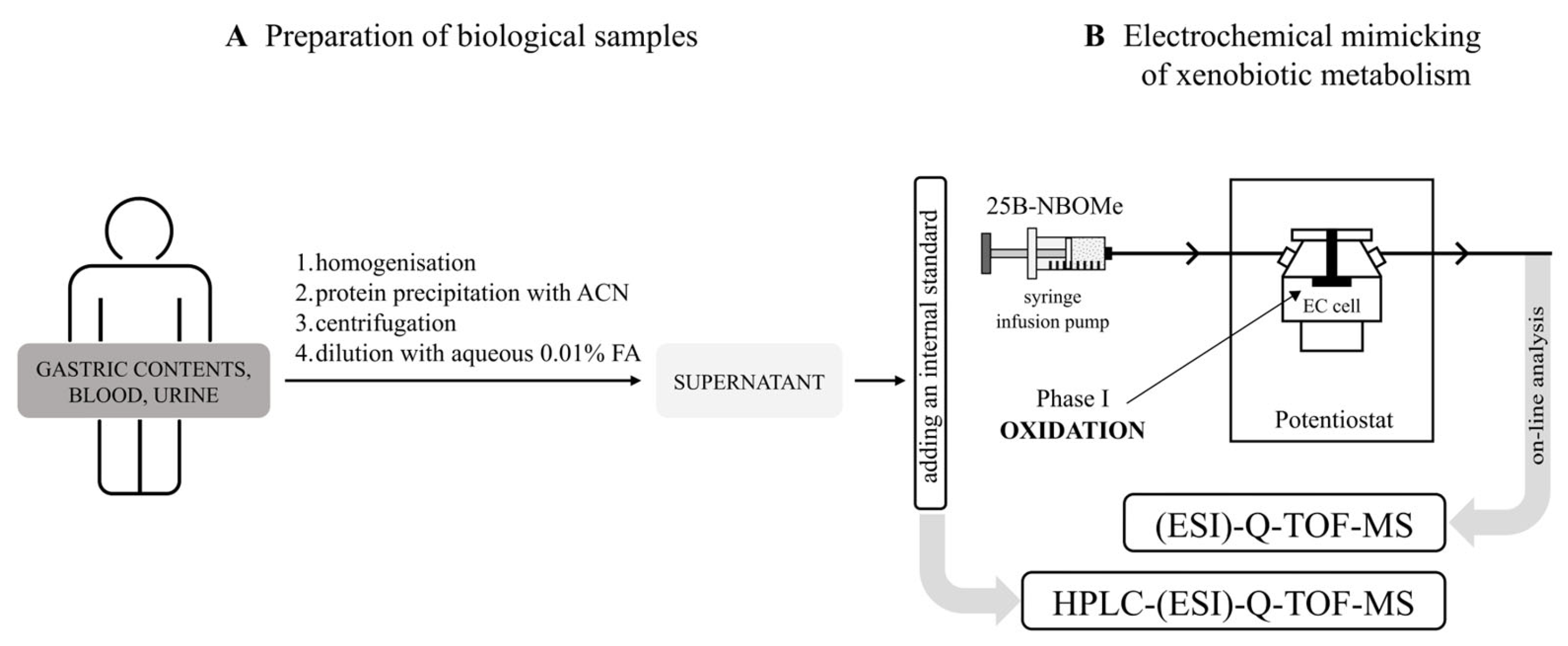 Molecules 30 04450 g008