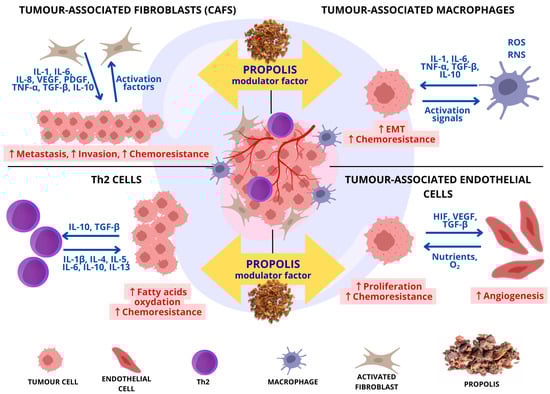 Molecules 30 04460 g002