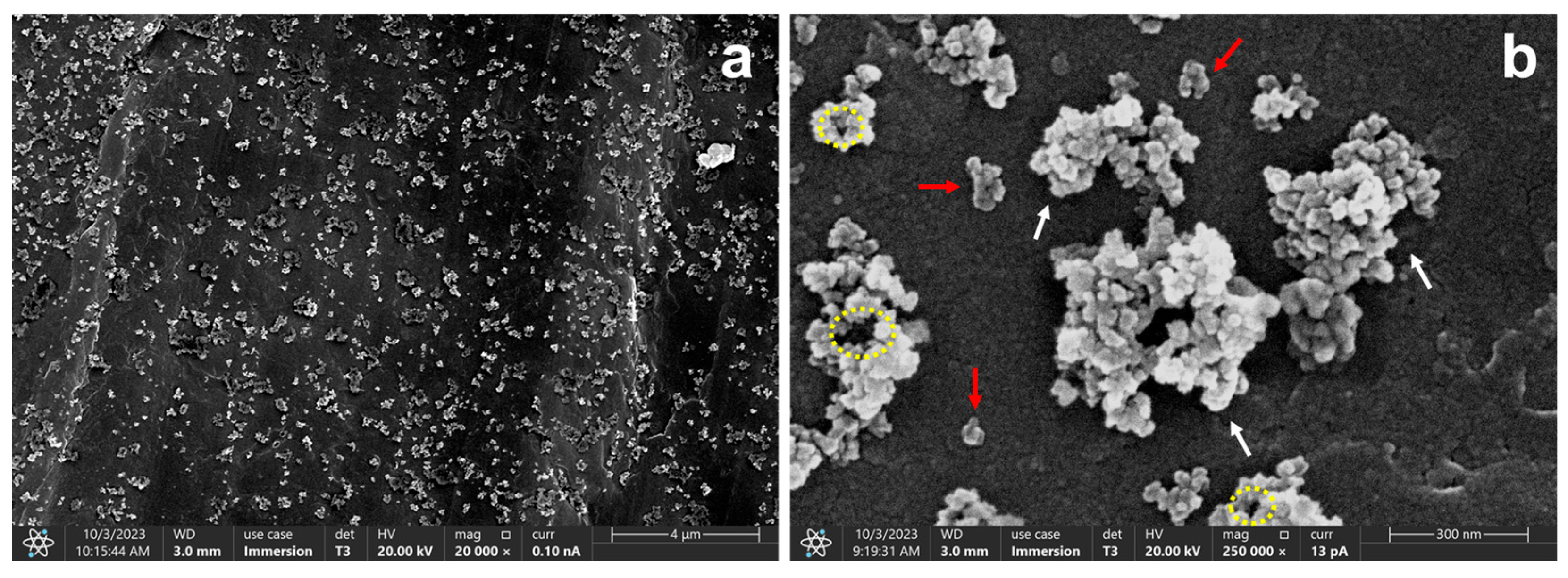 Molecules 30 04464 g001 Molecules 30 04464 g001