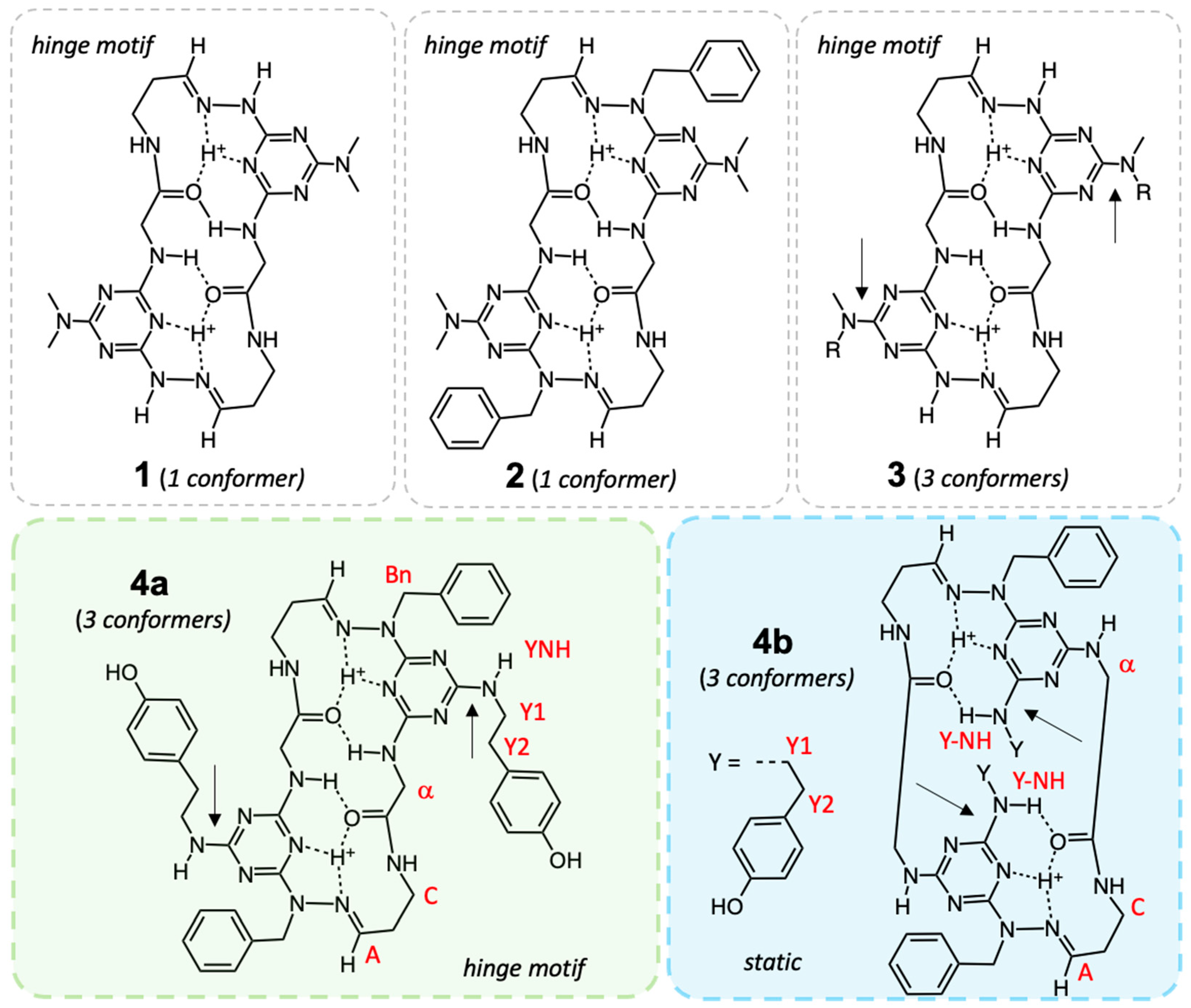 Molecules 30 04475 g002 Molecules 30 04475 g002