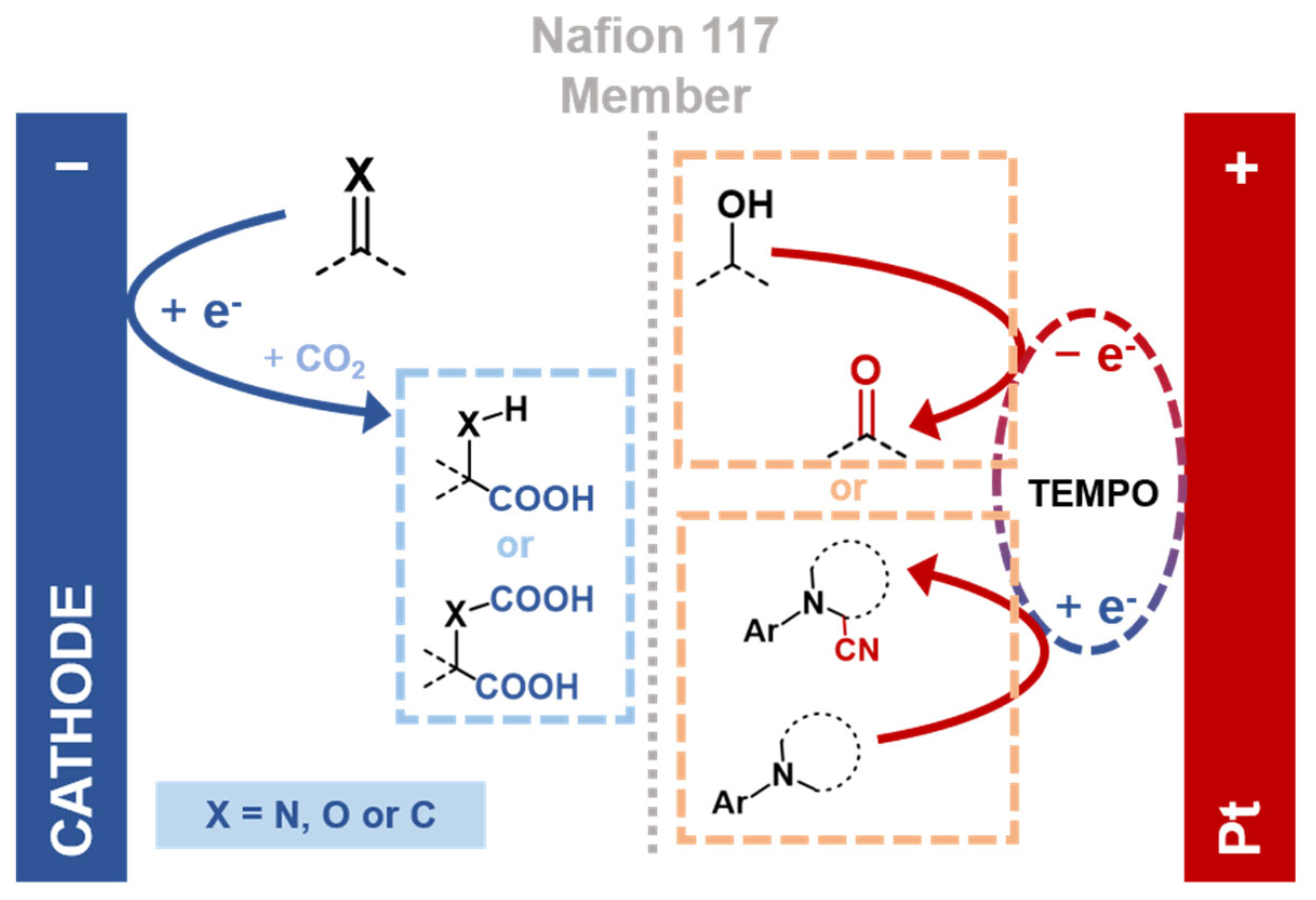 Molecules 30 04485 g003