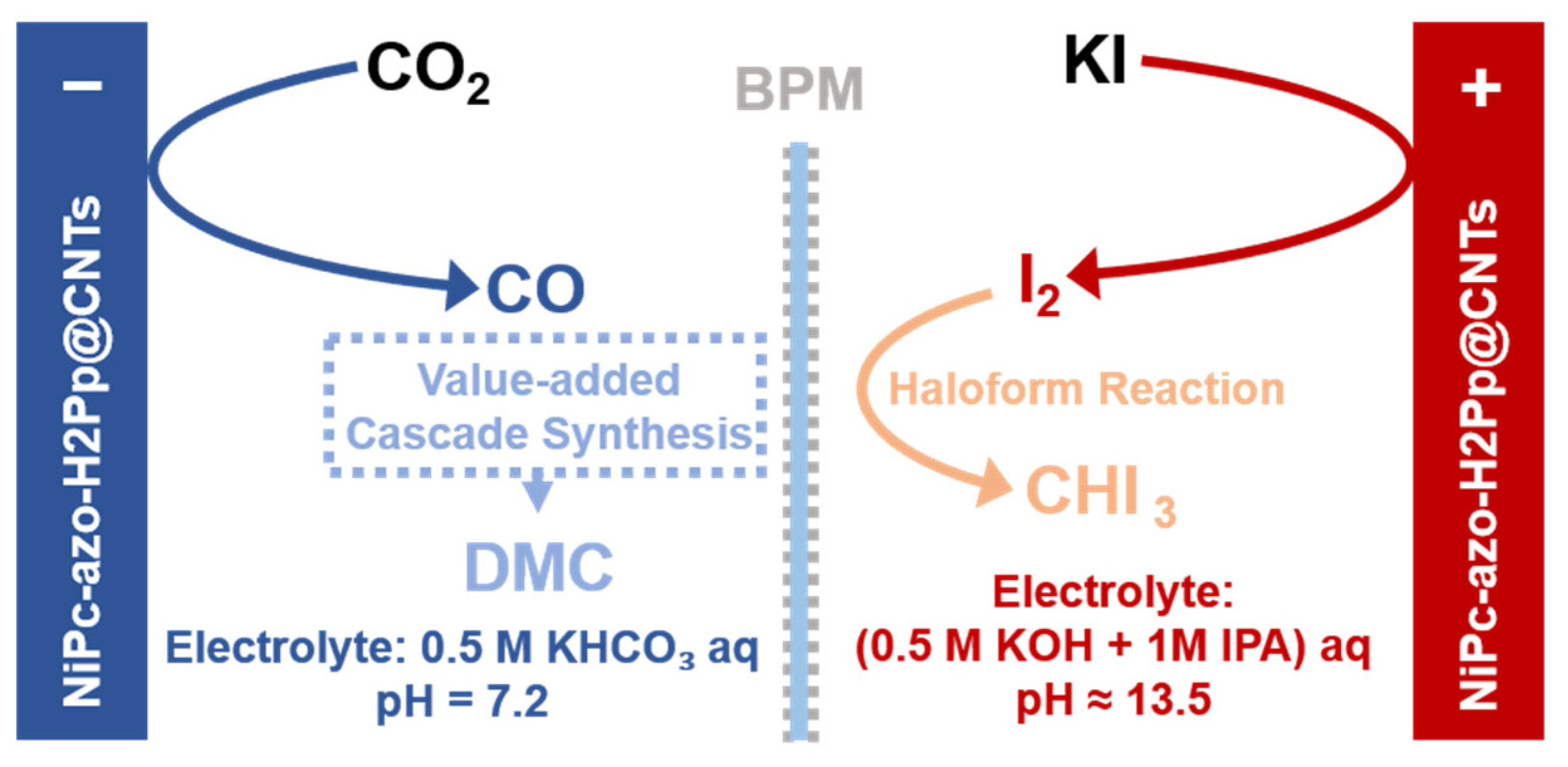 Molecules 30 04485 g006