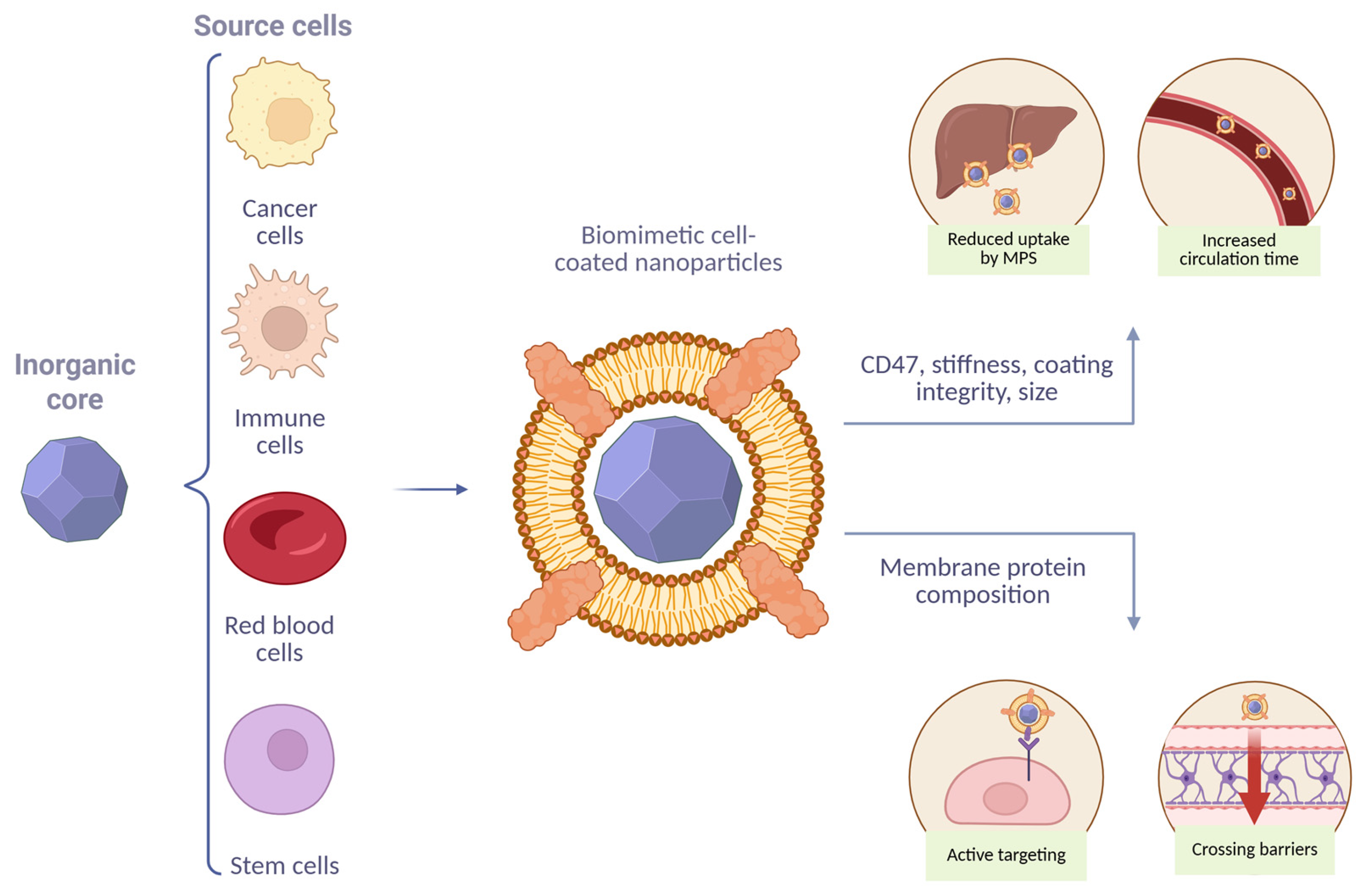 Molecules 30 04487 g001 Molecules 30 04487 g001