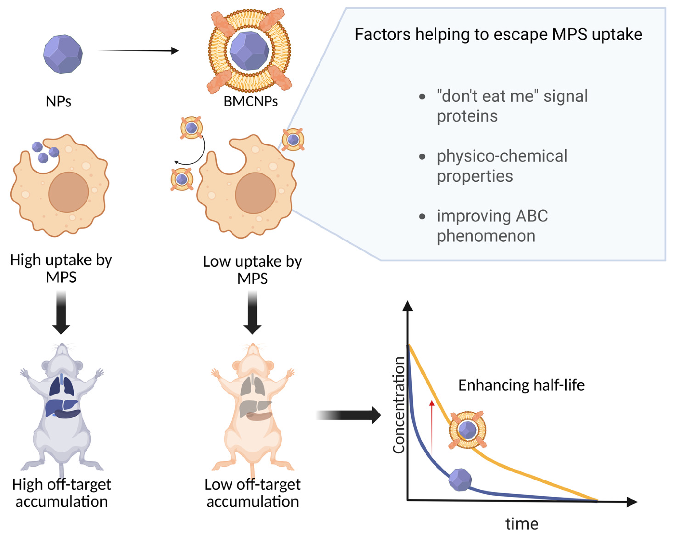 Molecules 30 04487 g002 Molecules 30 04487 g002
