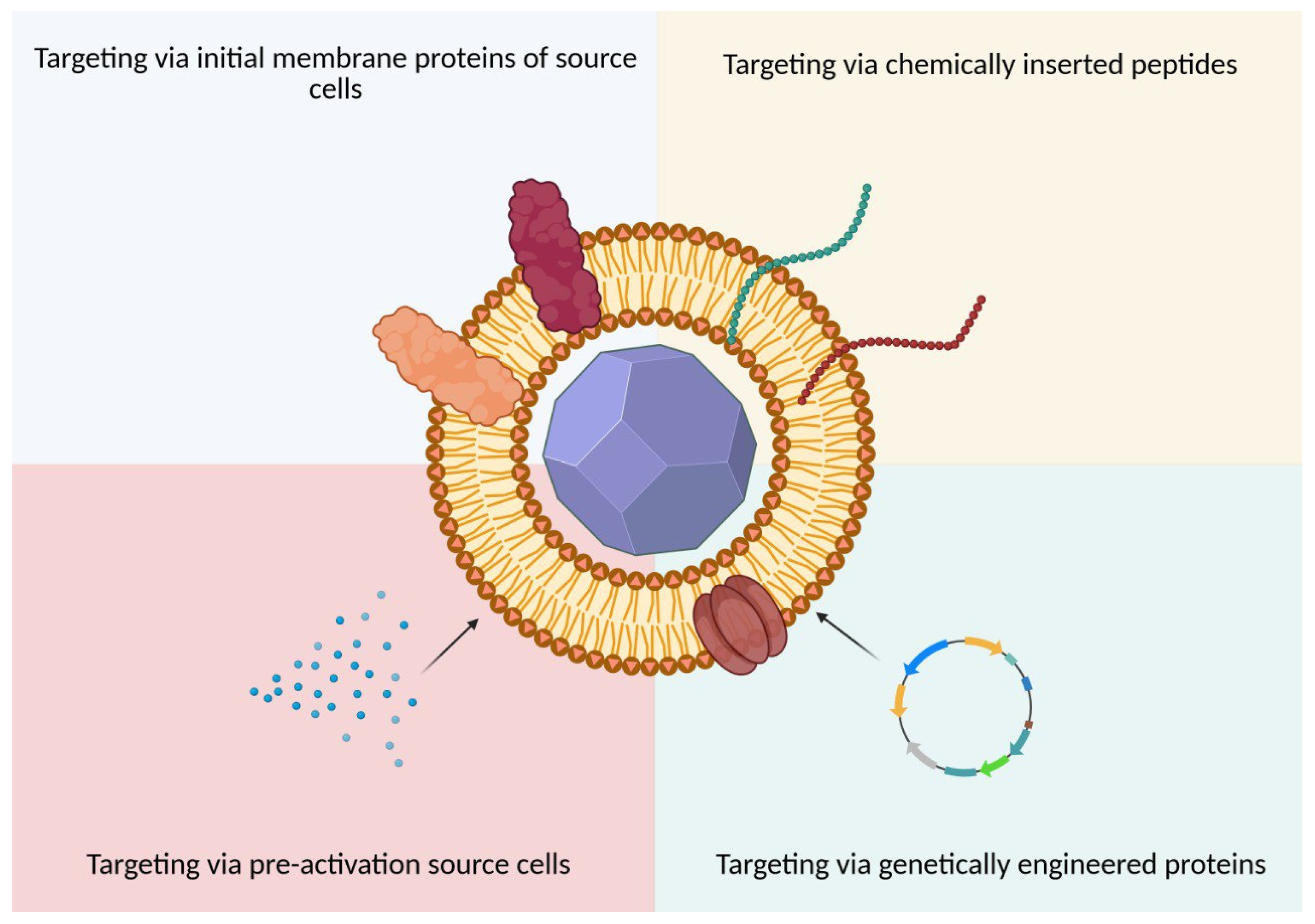 Molecules 30 04487 g003 Molecules 30 04487 g003